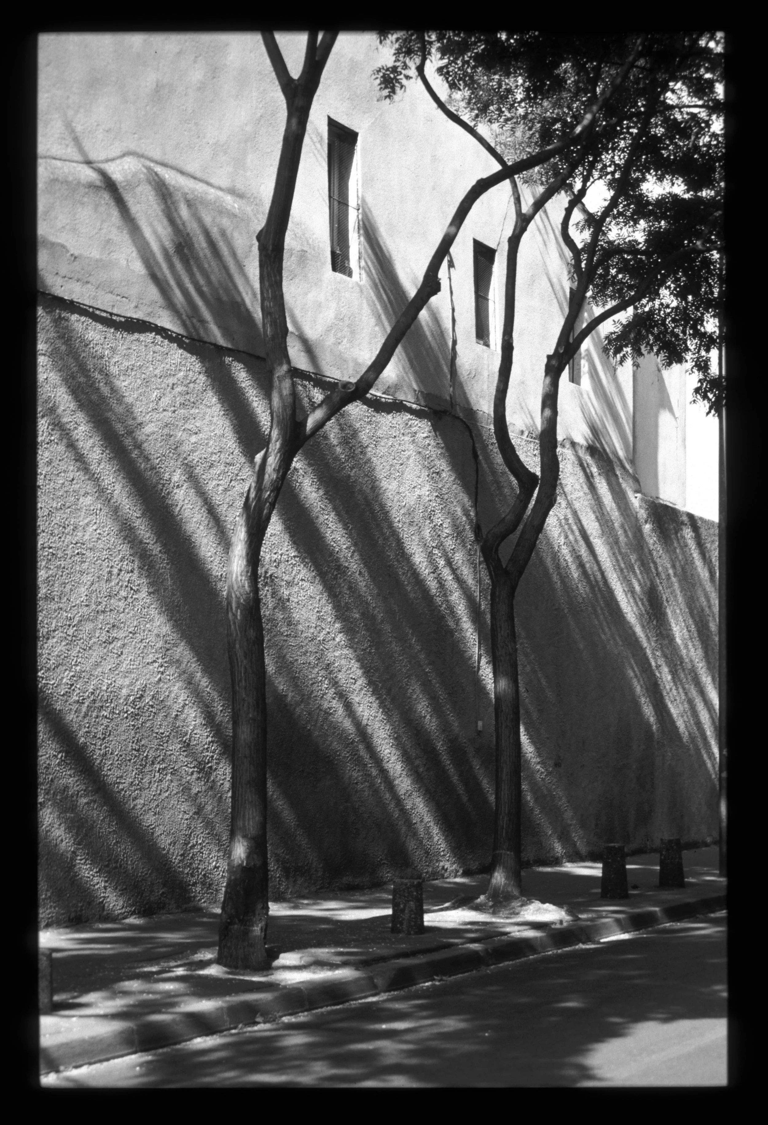Shadows playing against a wall, in Provence, France.