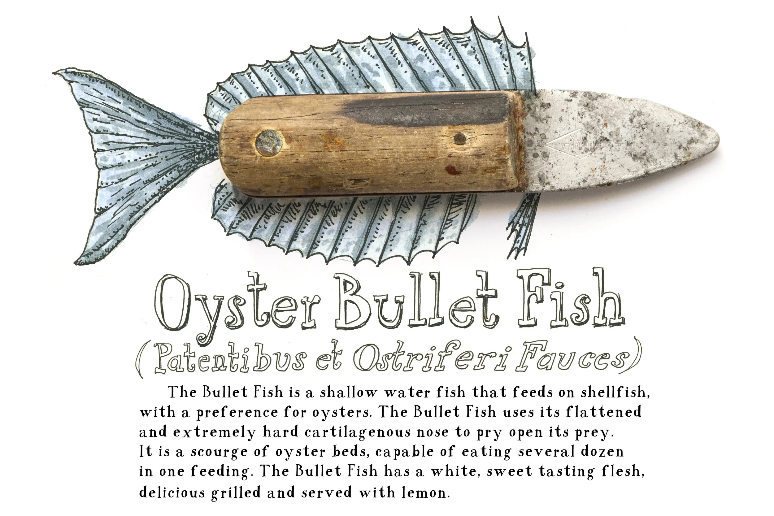 Watercolor with vintage oyster knife, found object art, funny food illustration