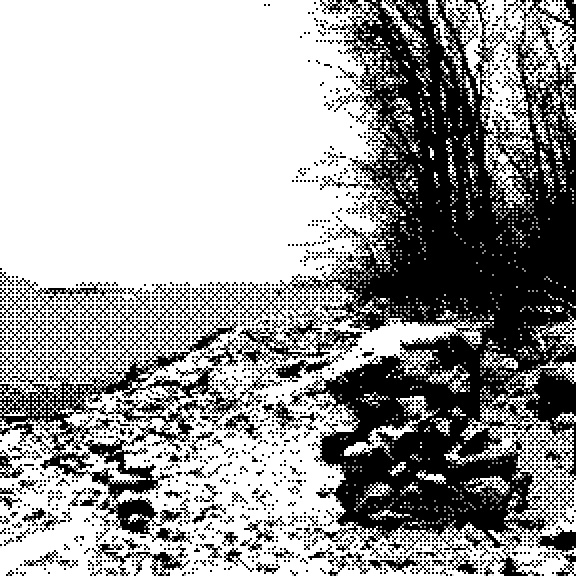 Winter scene with snow-covered ground and bare trees agains  white sky
