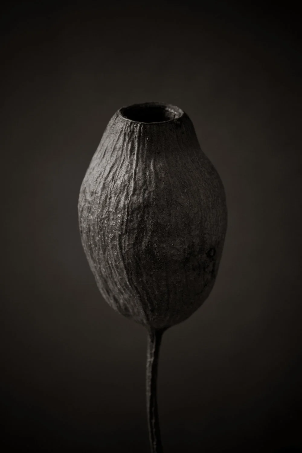 Black and white macro fine art photo of a plant pod, exquisite detail 