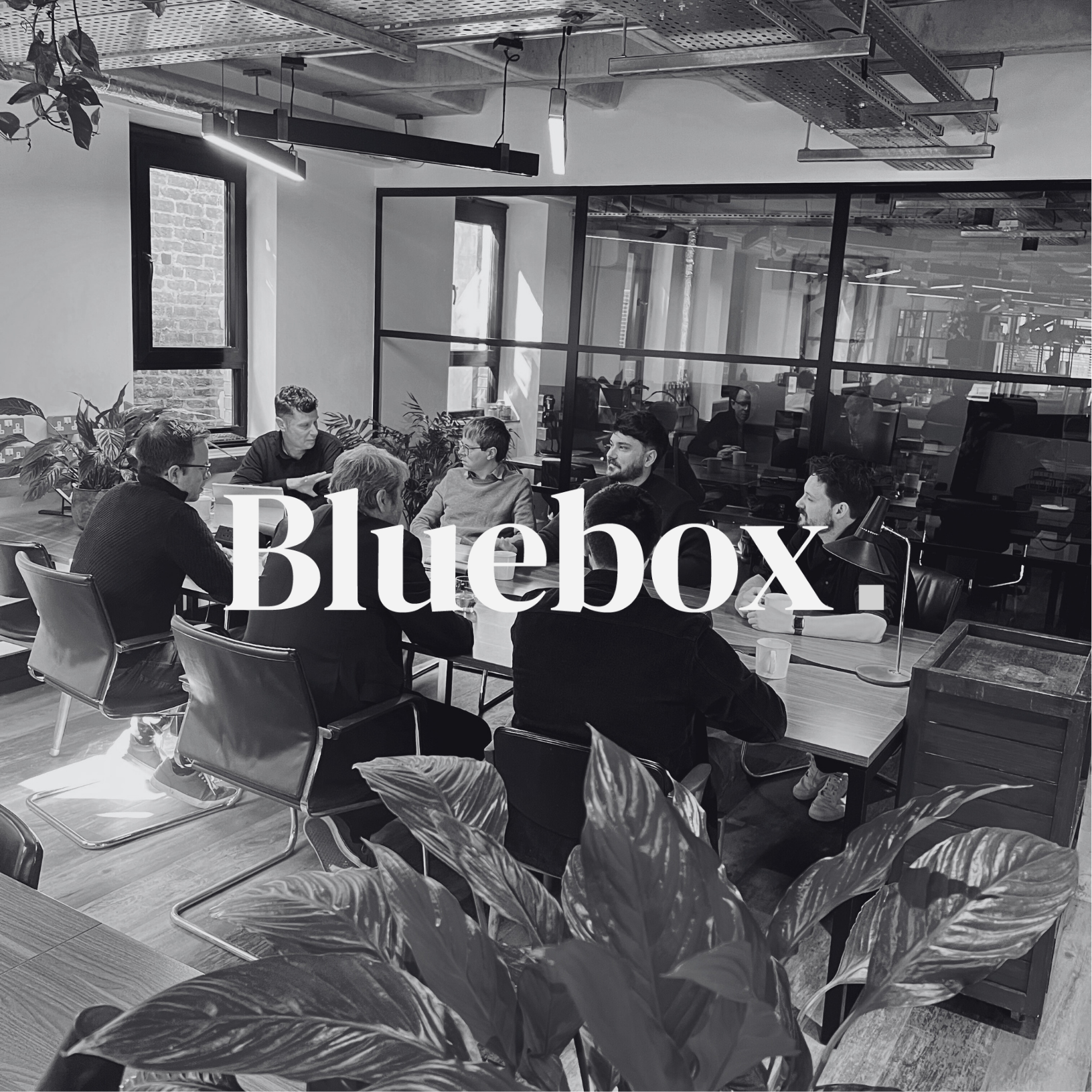 Bluebox Software