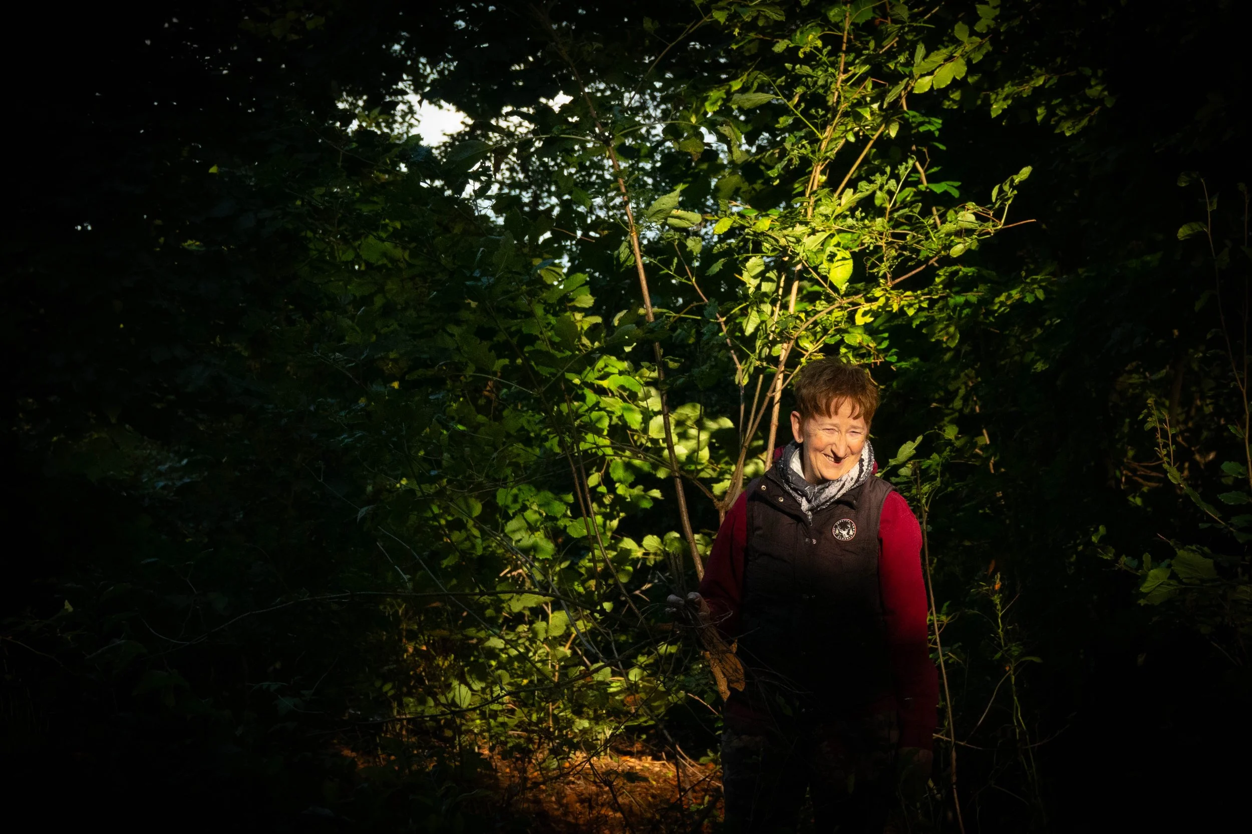 Rosi in der Natur in Syke im Wald
