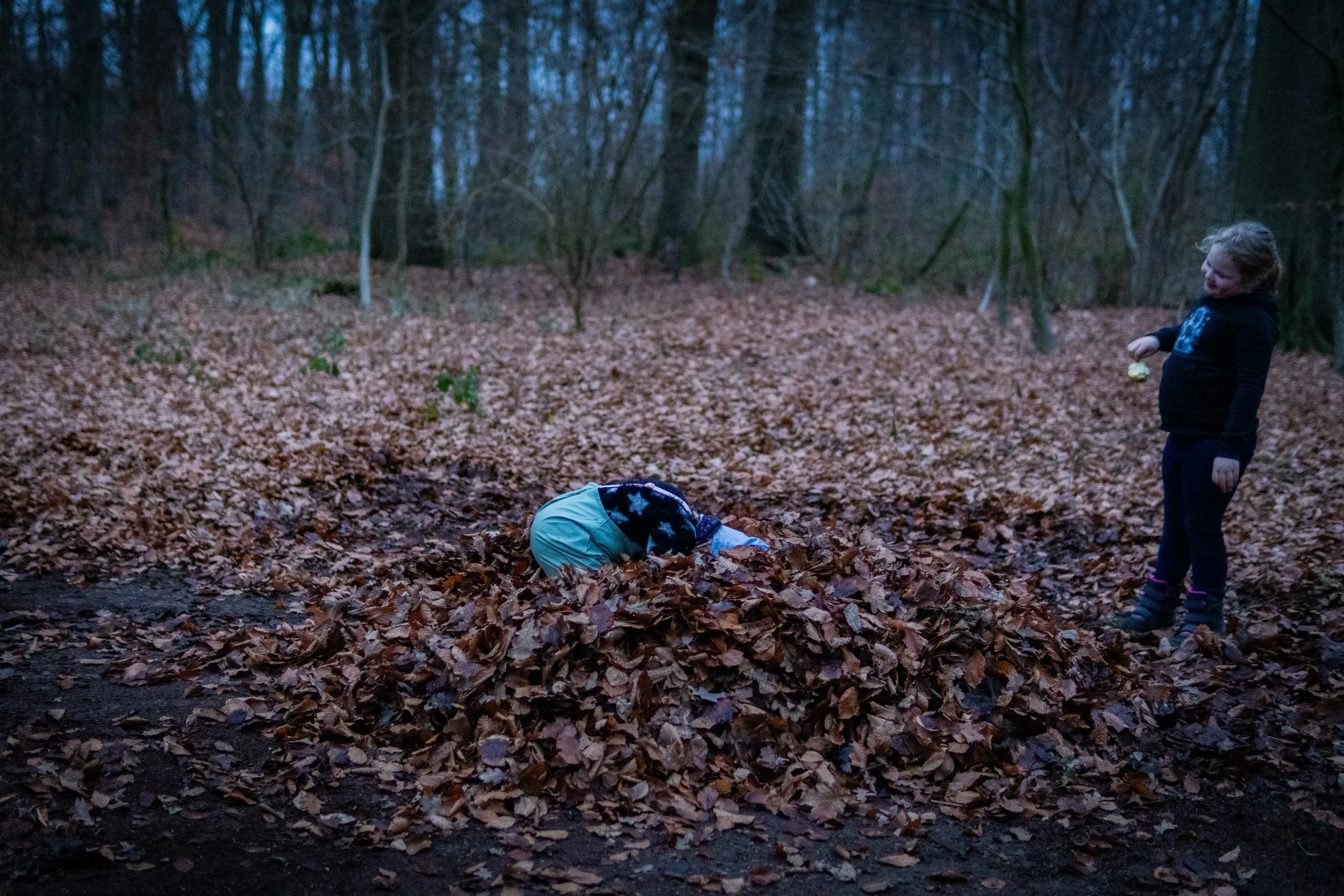 Dachsmeute-Dezember-2025 (11 von 17).jpg