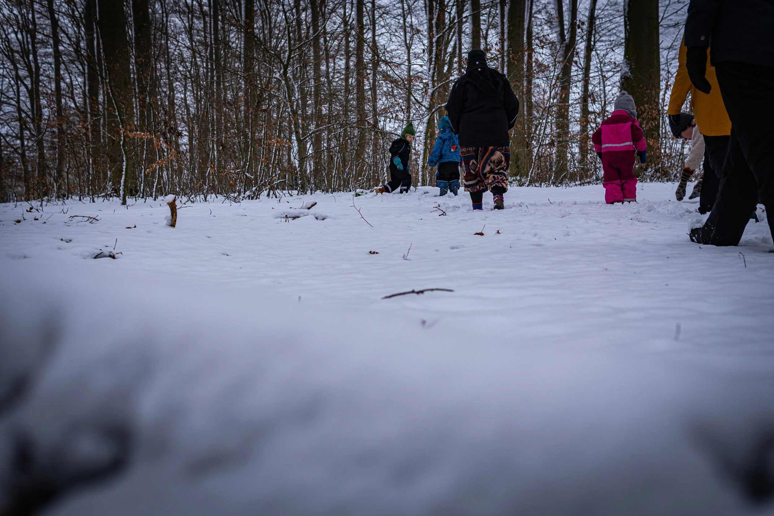Waldmäuse-Januar-2026 (6 von 26).jpg