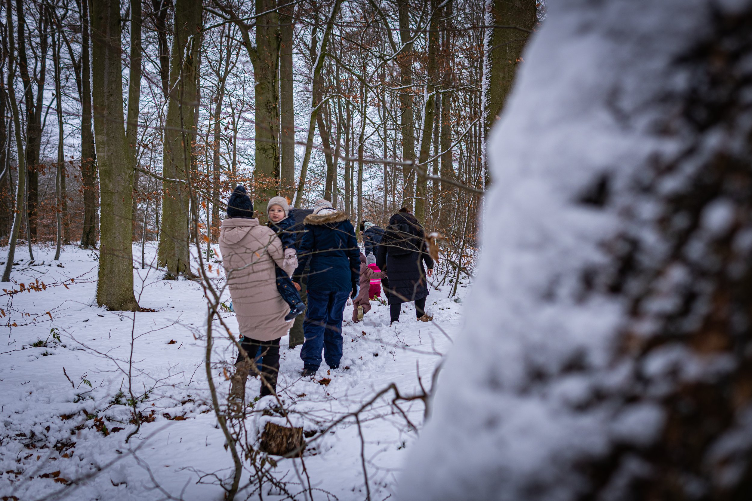 Waldmäuse-Januar-2026 (5 von 26).jpg