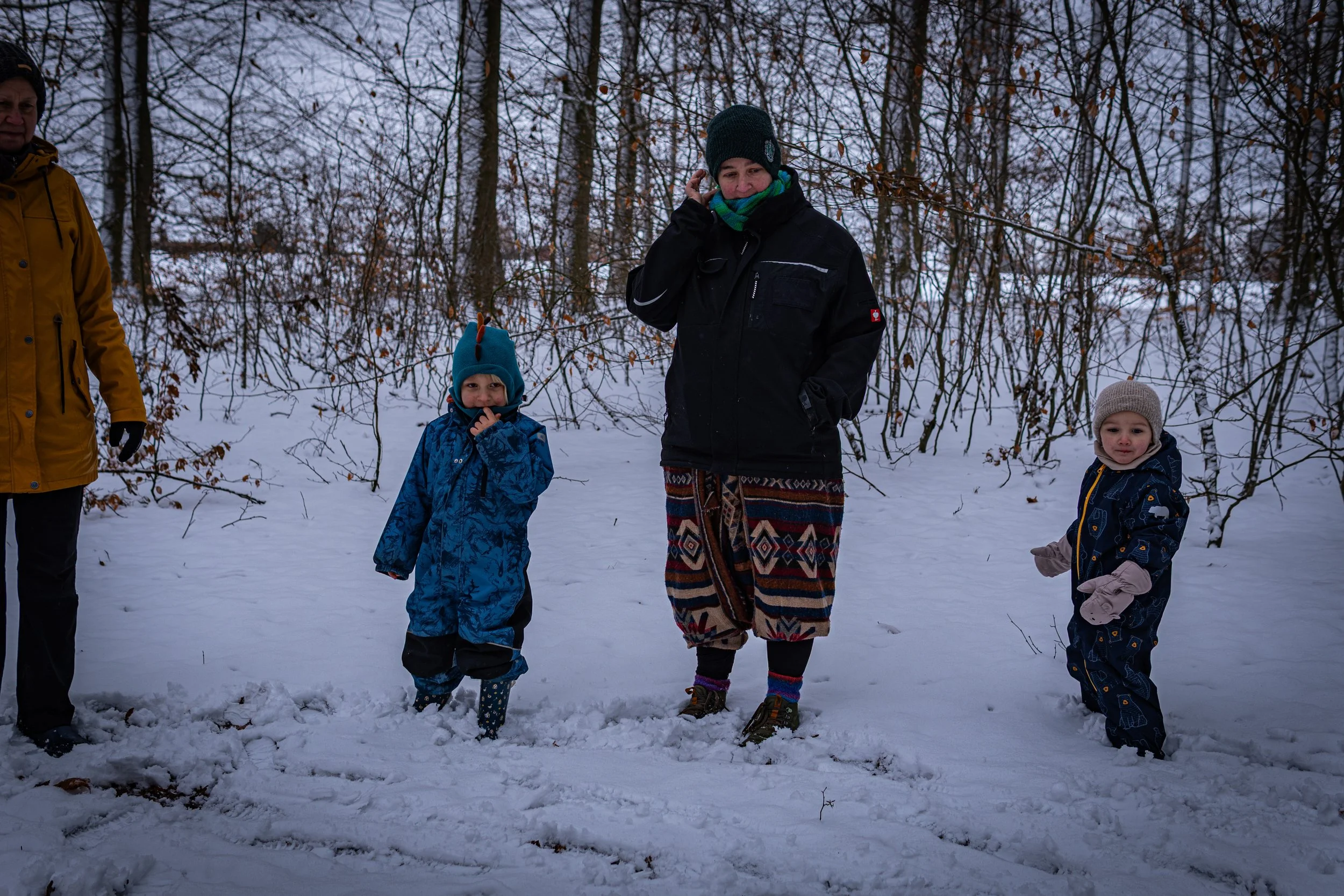 Waldmäuse-Januar-2026 (8 von 26).jpg