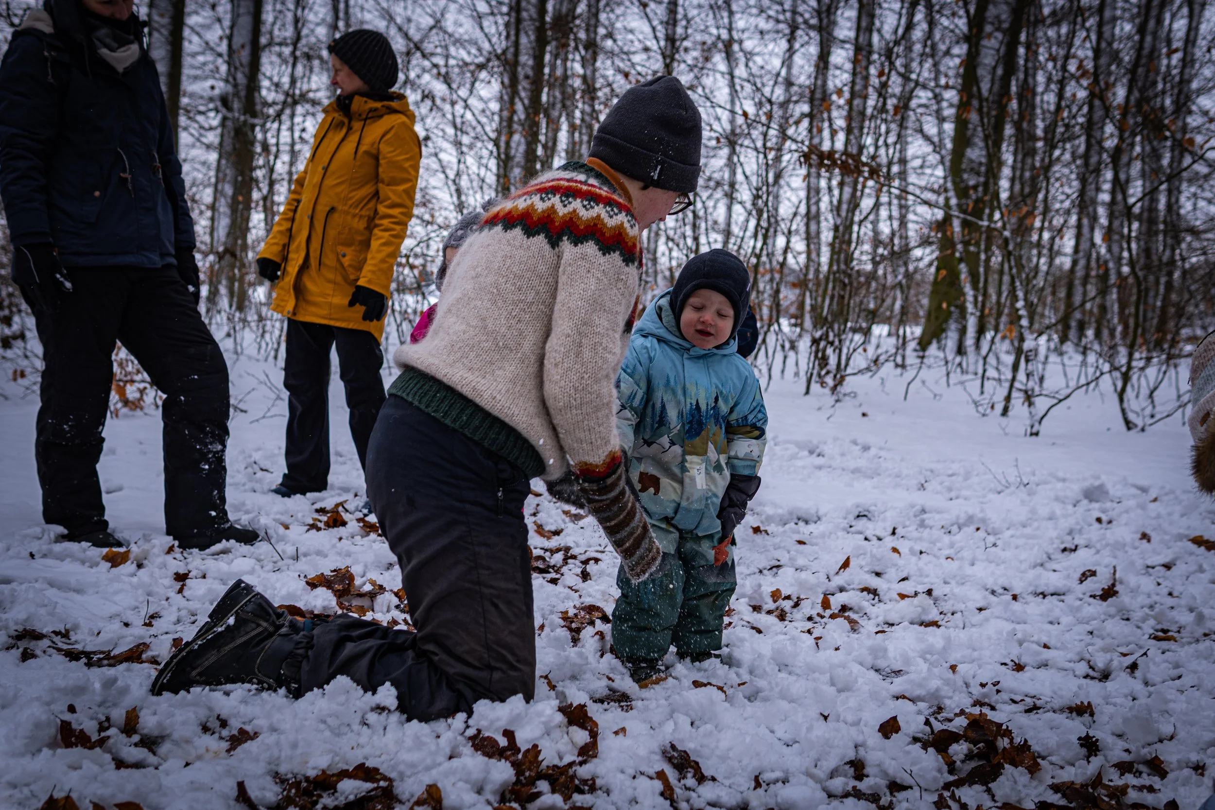 Waldmäuse-Januar-2026 (9 von 26).jpg