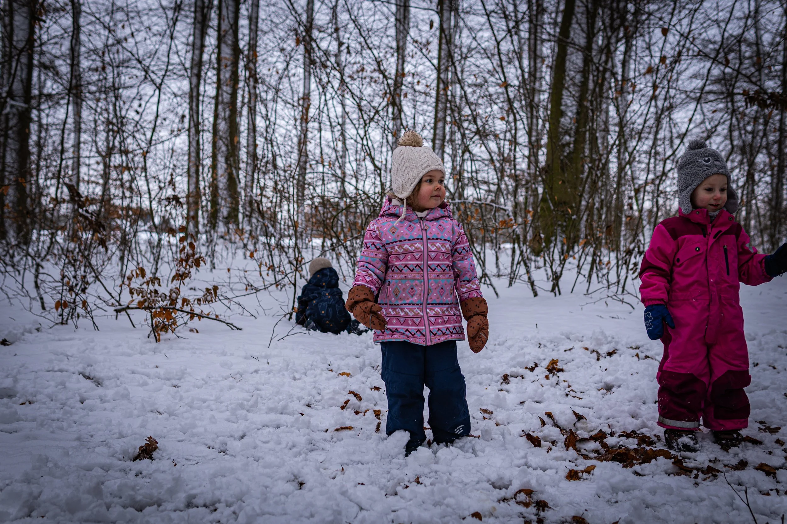 Waldmäuse-Januar-2026 (10 von 26).jpg