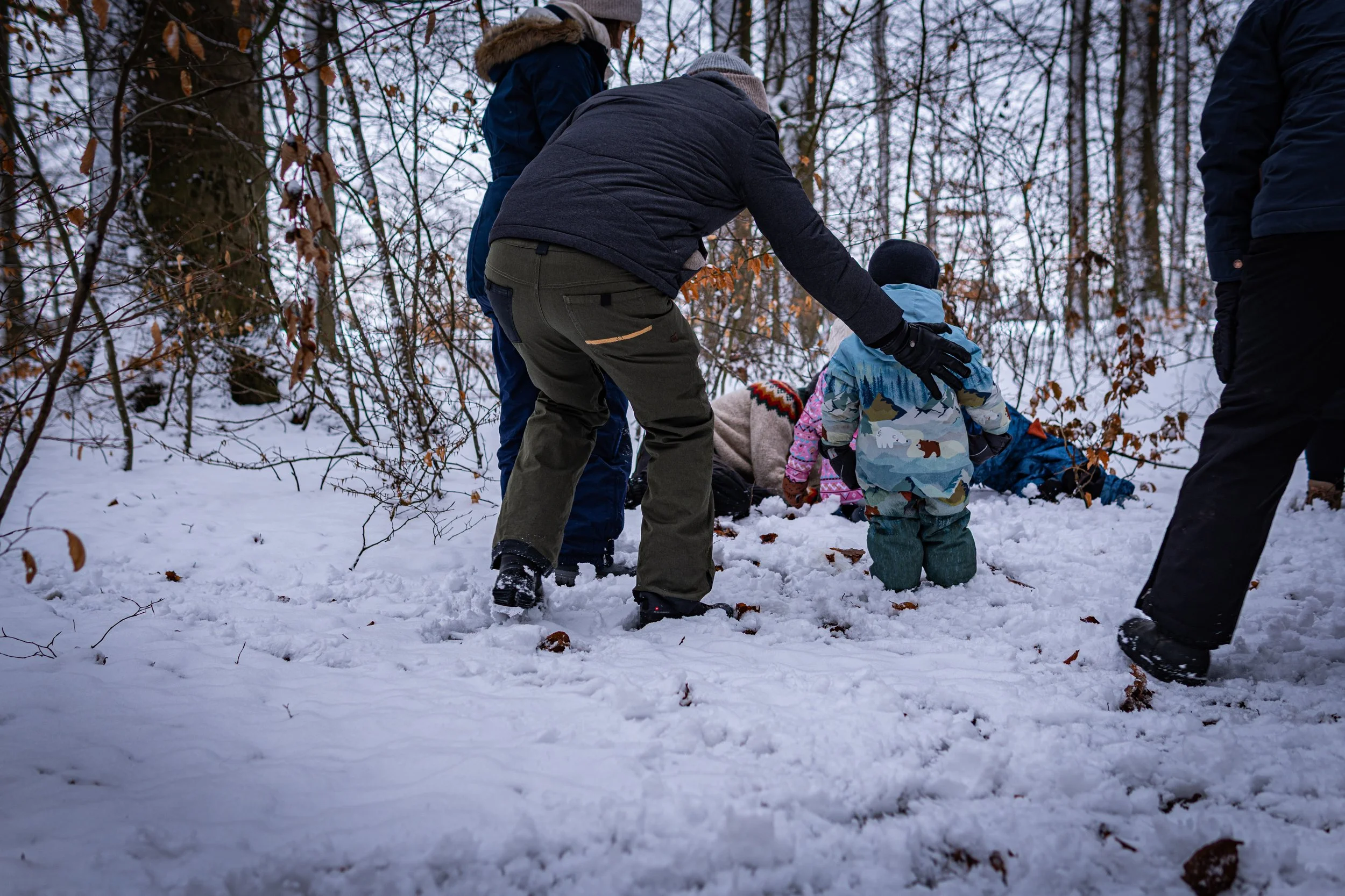 Waldmäuse-Januar-2026 (11 von 26).jpg