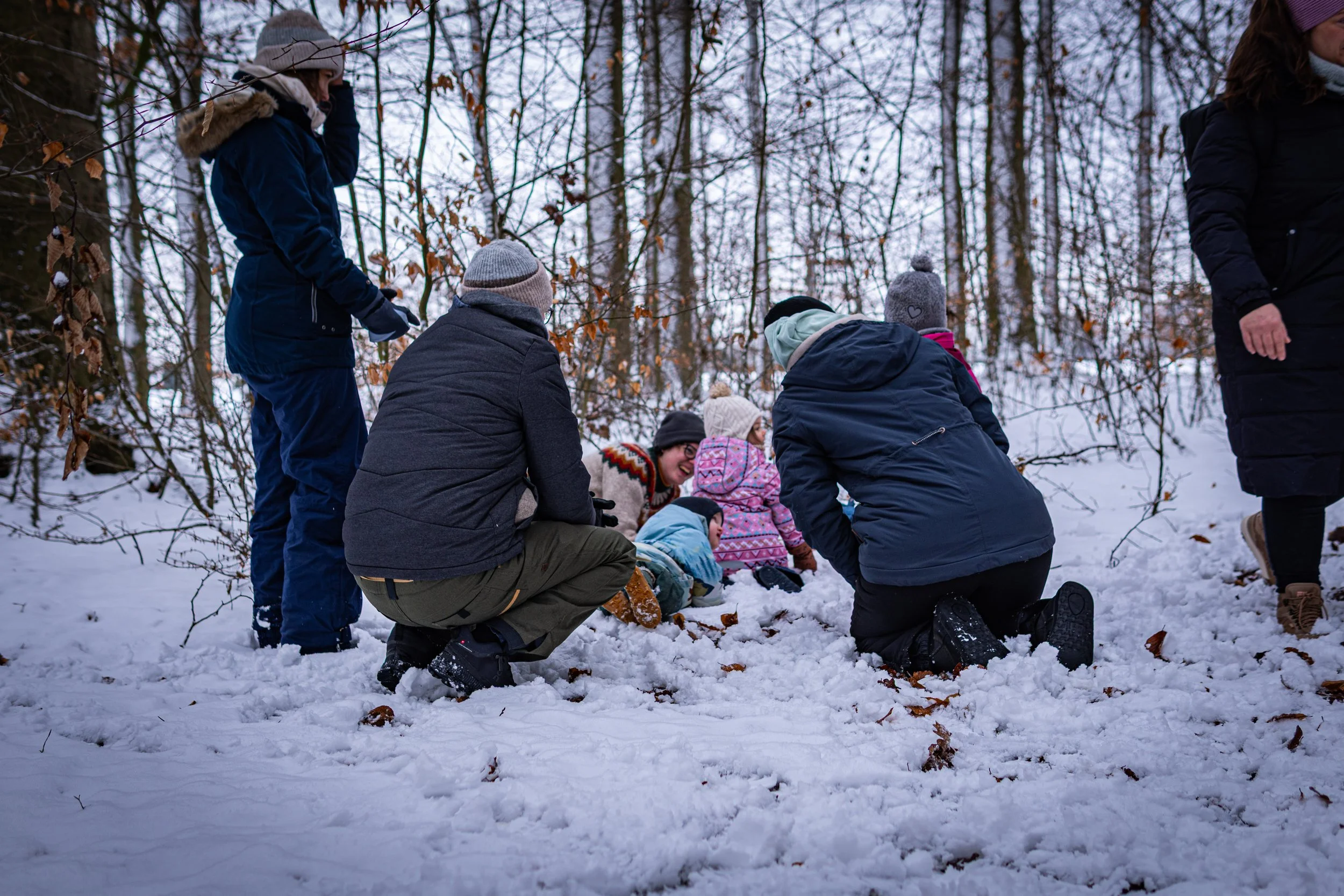 Waldmäuse-Januar-2026 (12 von 26).jpg