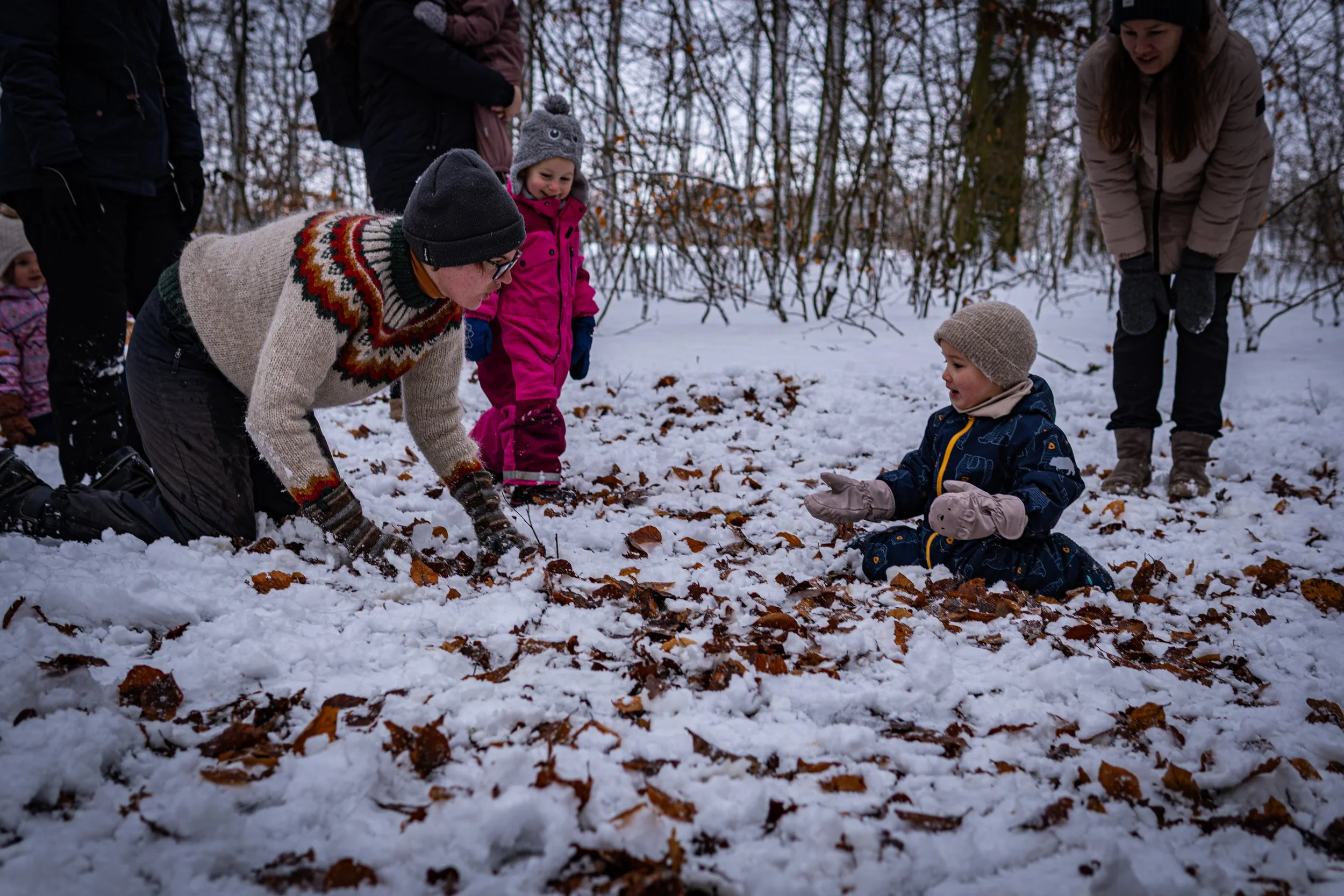 Waldmäuse-Januar-2026 (13 von 26).jpg