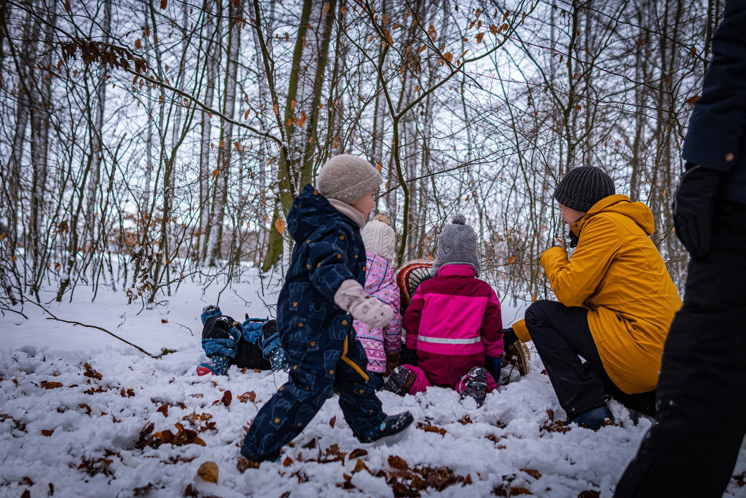 Waldmäuse-Januar-2026 (14 von 26).jpg