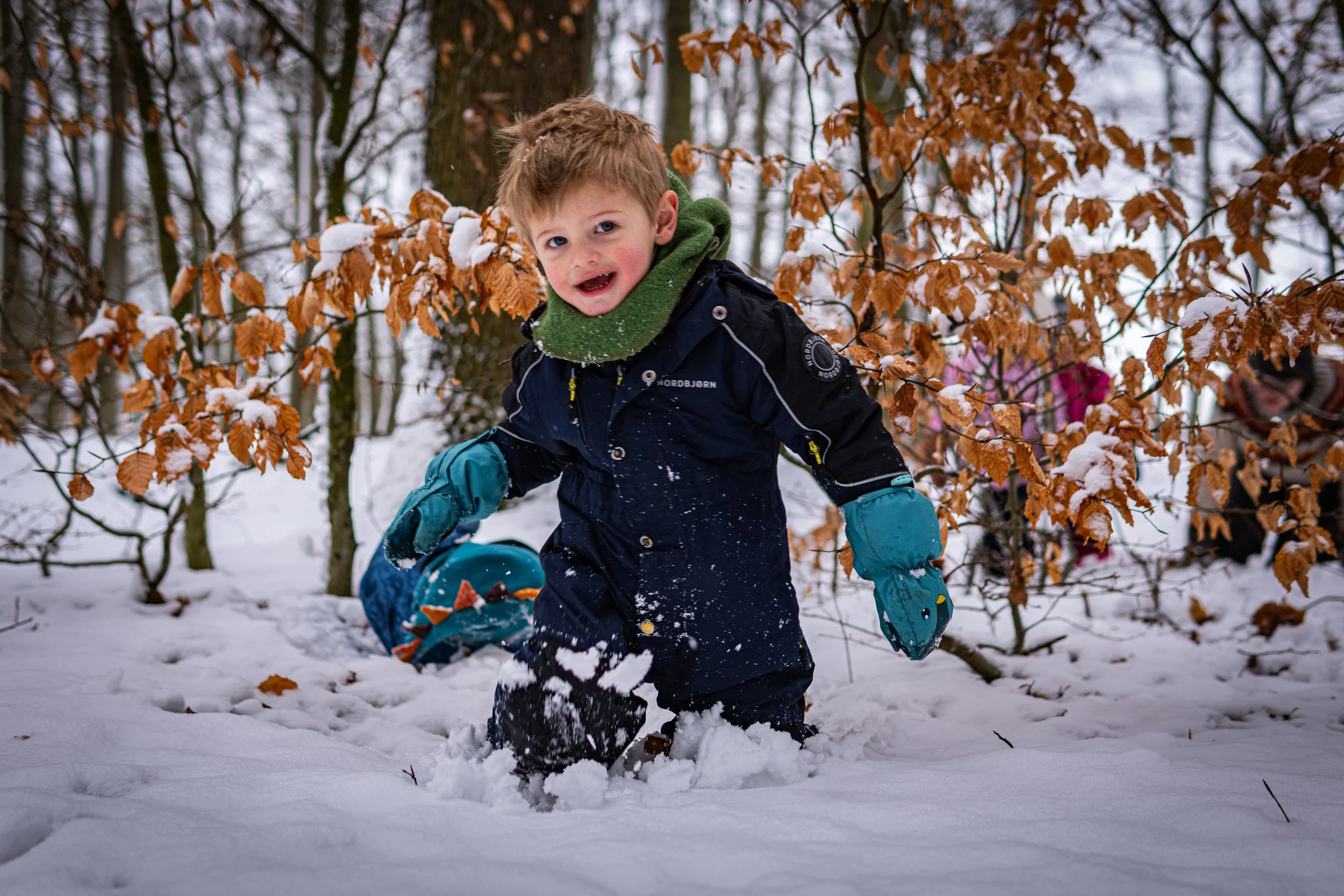 Waldmäuse-Januar-2026 (16 von 26).jpg