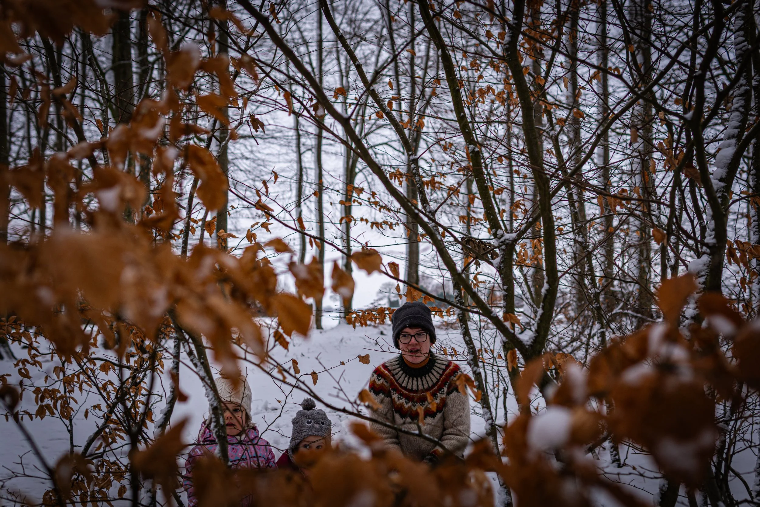 Waldmäuse-Januar-2026 (17 von 26).jpg