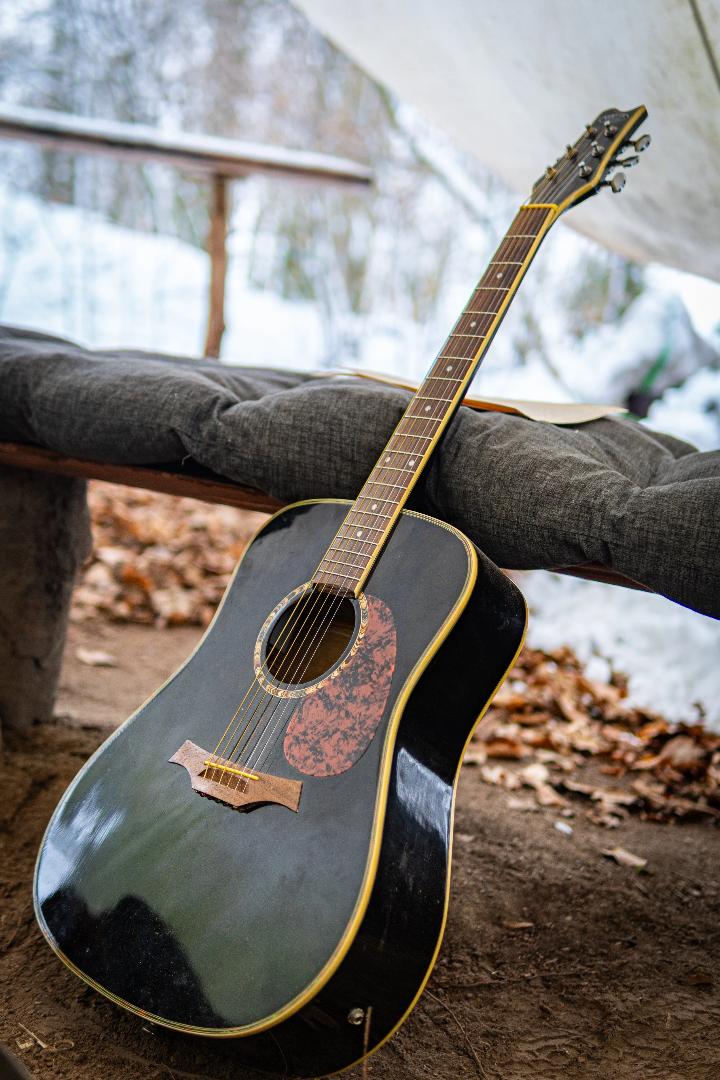 Waldmäuse-Januar-2026 (19 von 26).jpg