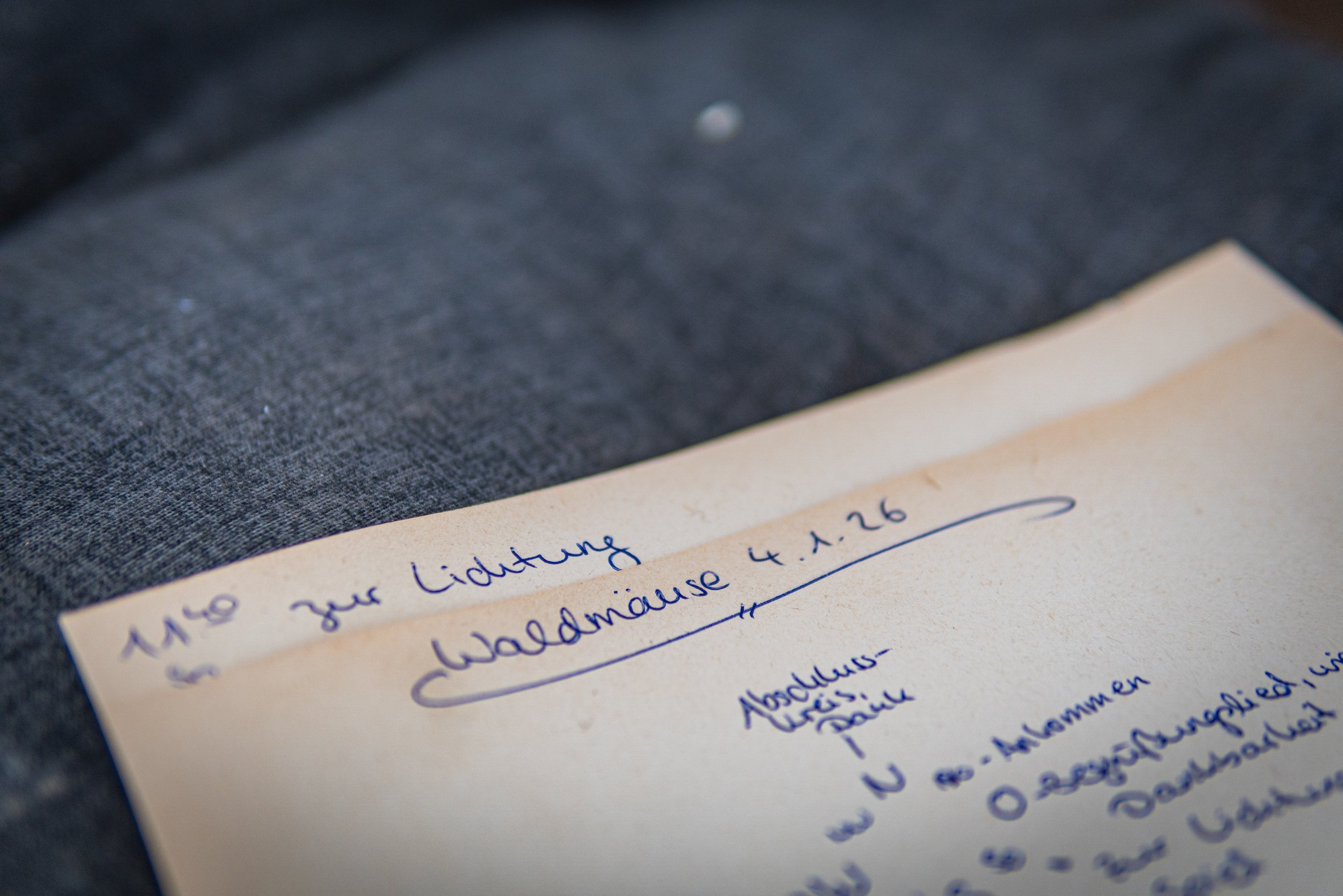 Waldmäuse-Januar-2026 (20 von 26).jpg