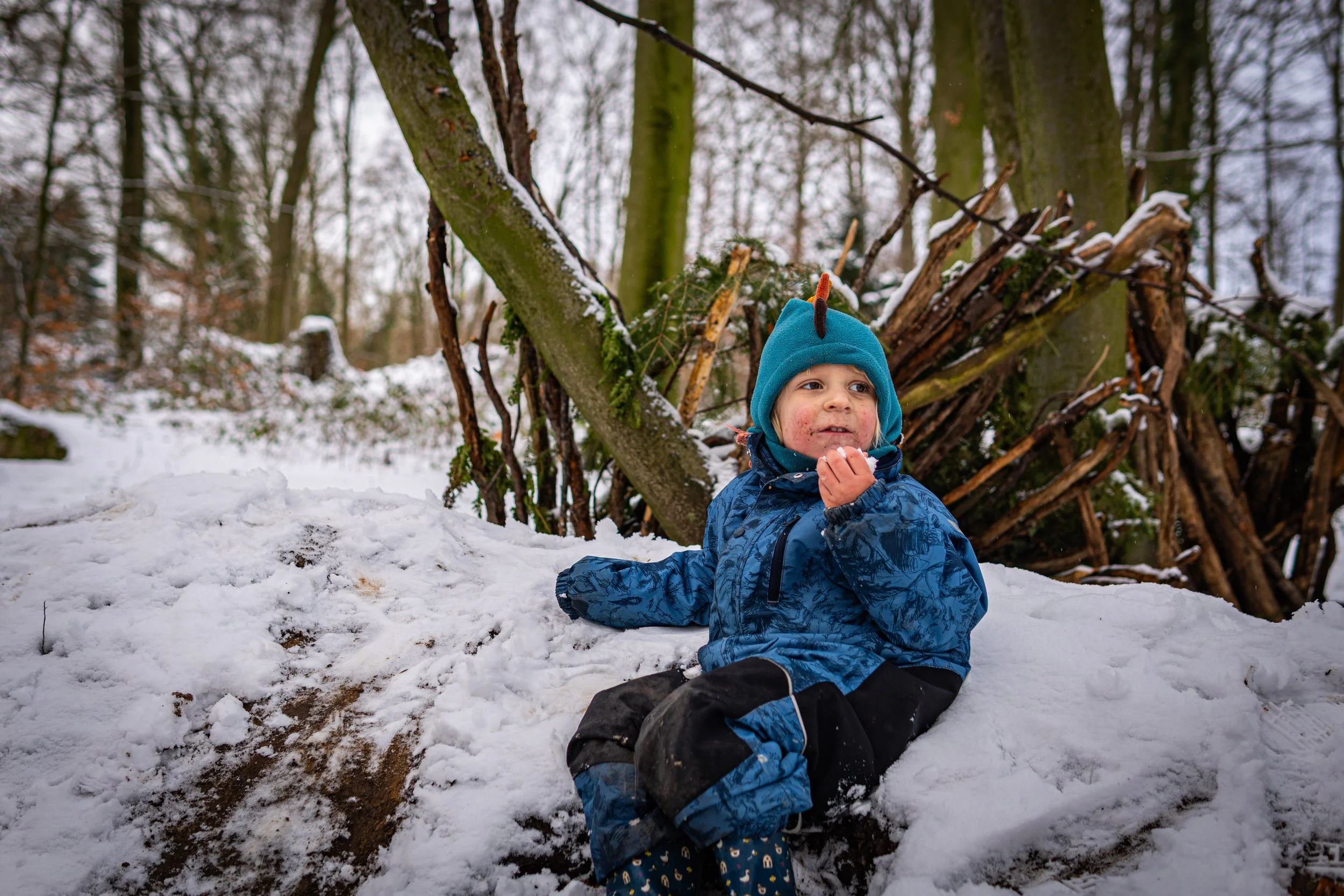 Waldmäuse-Januar-2026 (22 von 26).jpg