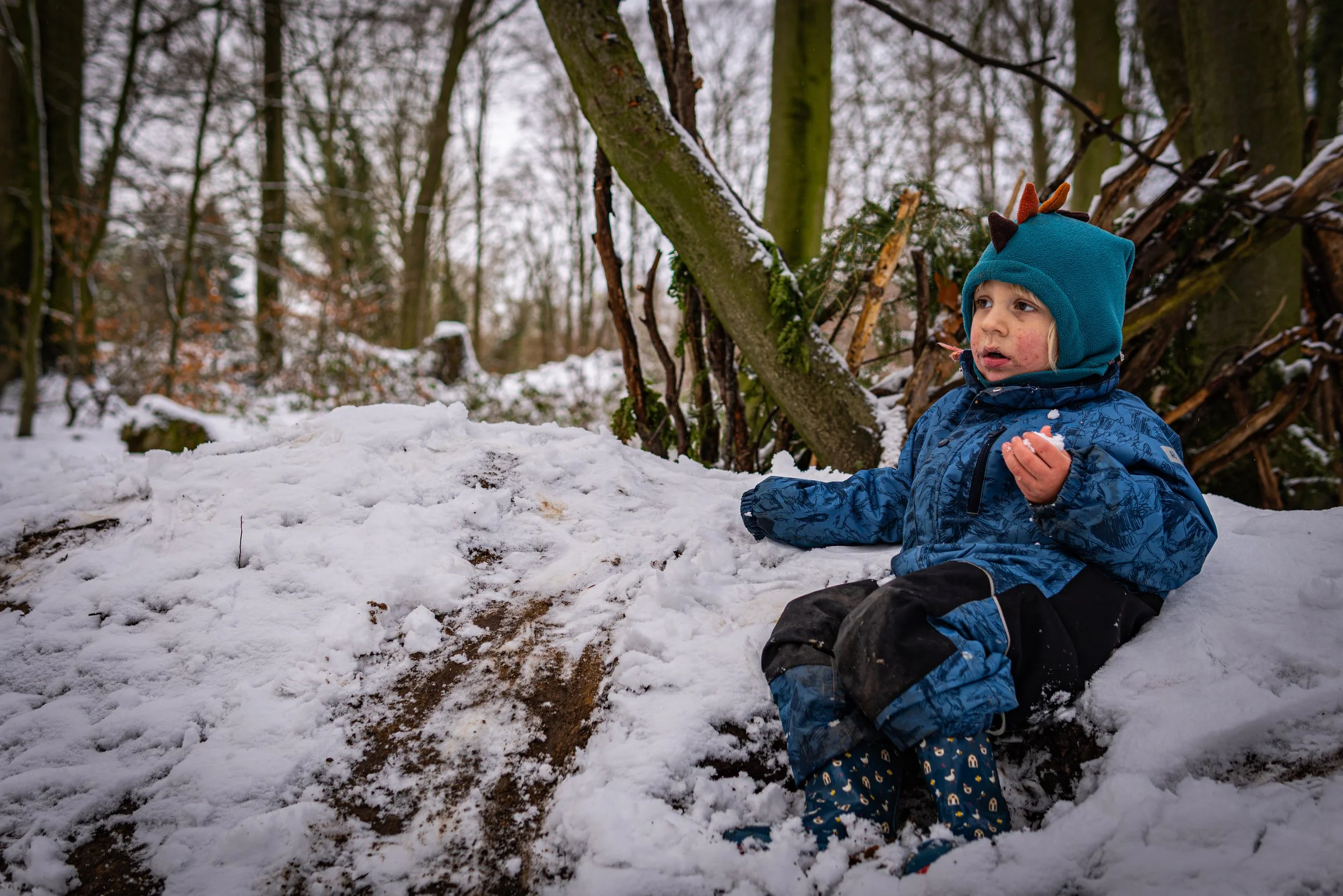 Waldmäuse-Januar-2026 (23 von 26).jpg
