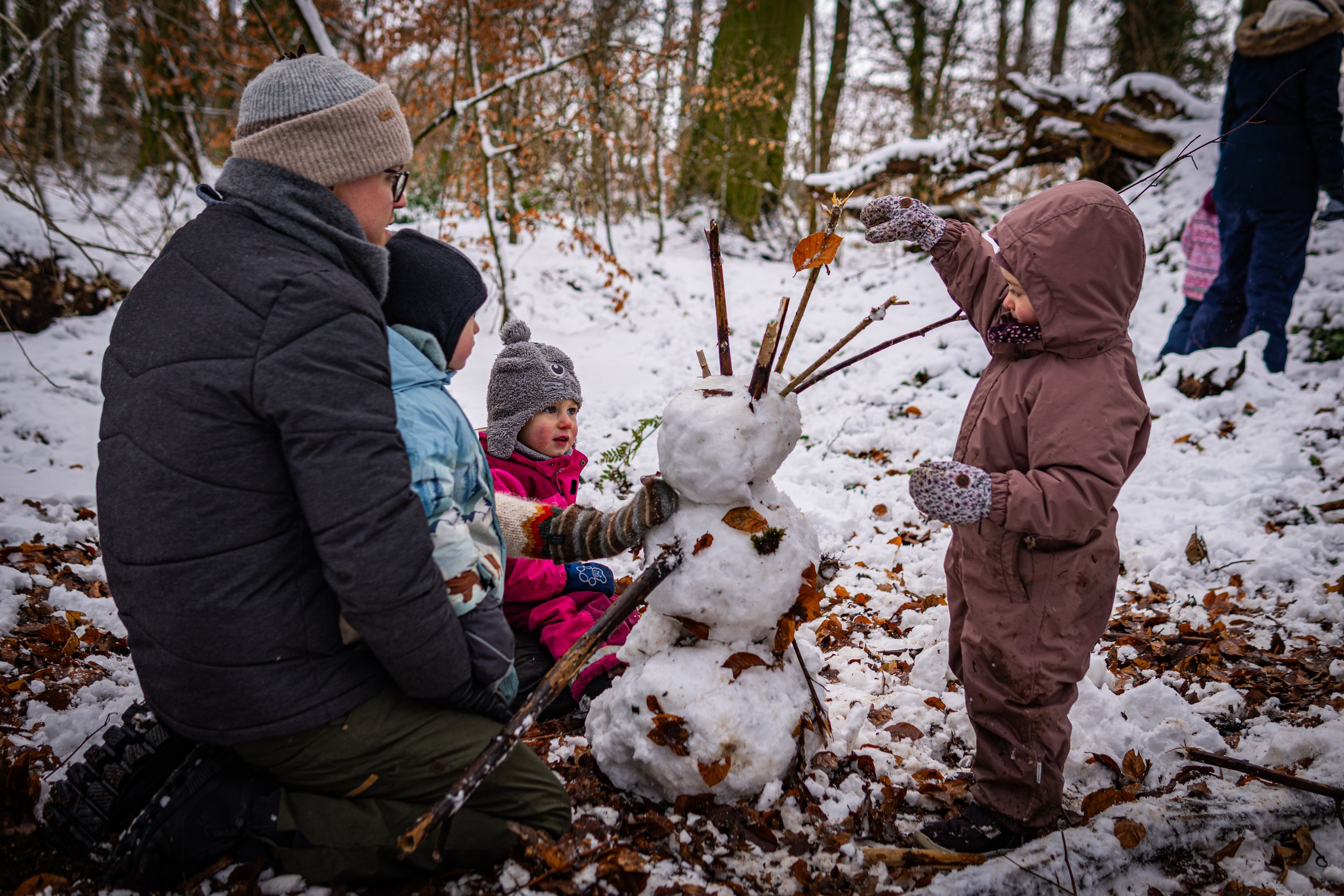 Waldmäuse-Januar-2026 (24 von 26).jpg