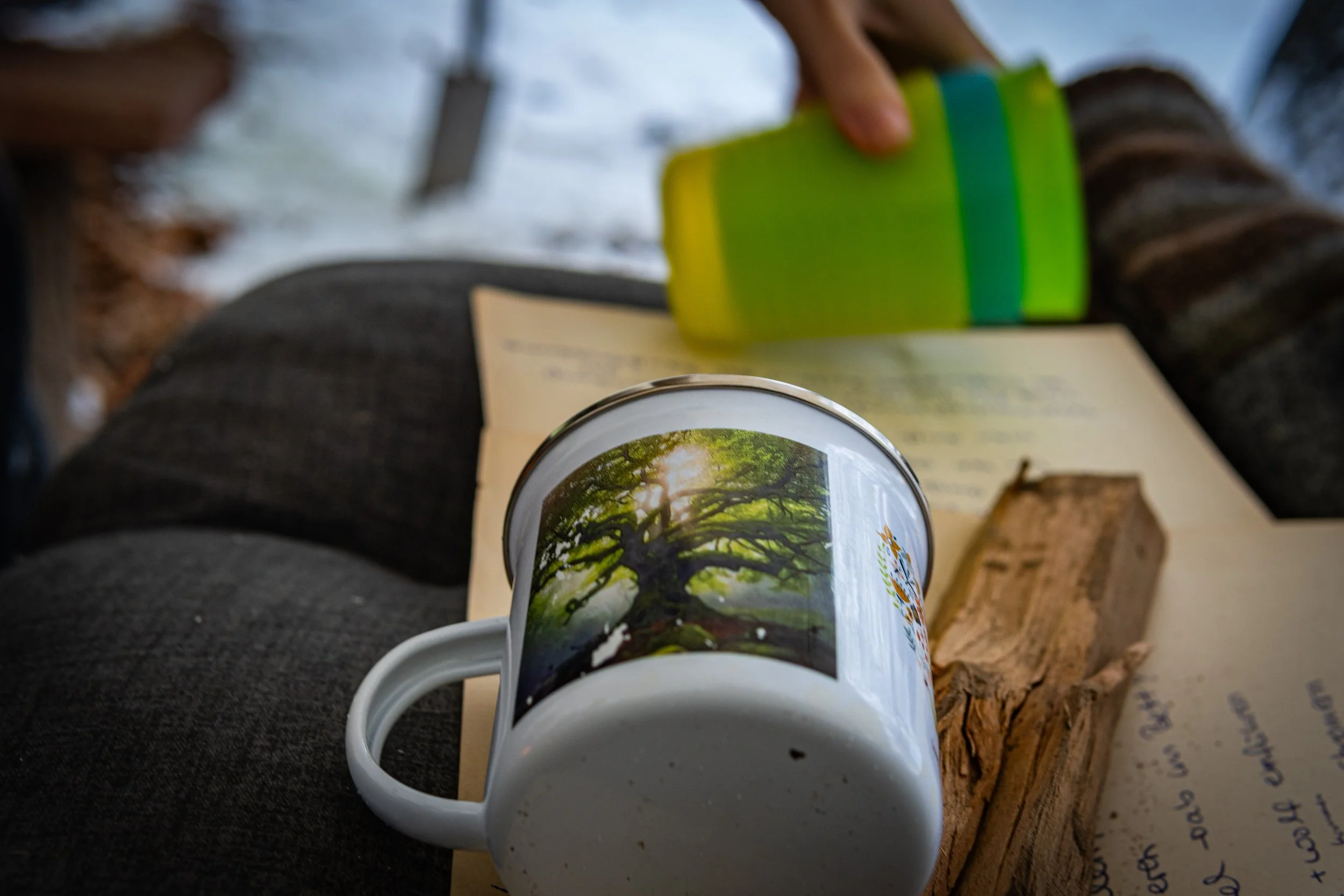 Waldmäuse-Januar-2026 (26 von 26).jpg