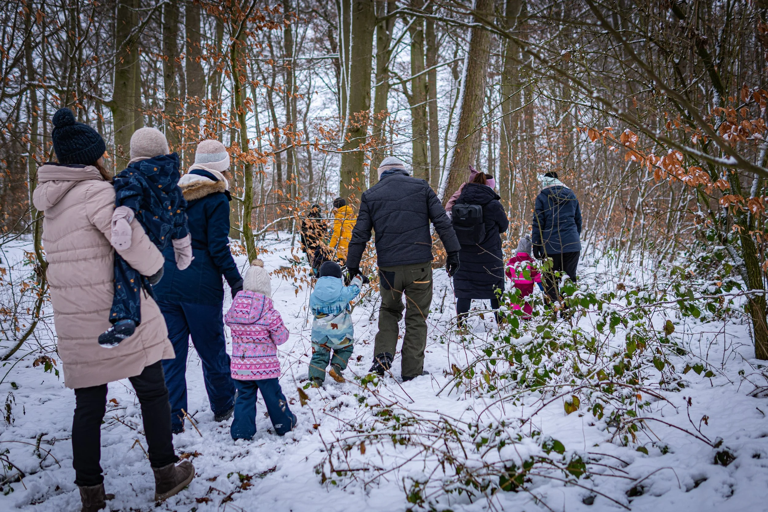 Waldmäuse - Januar 2026