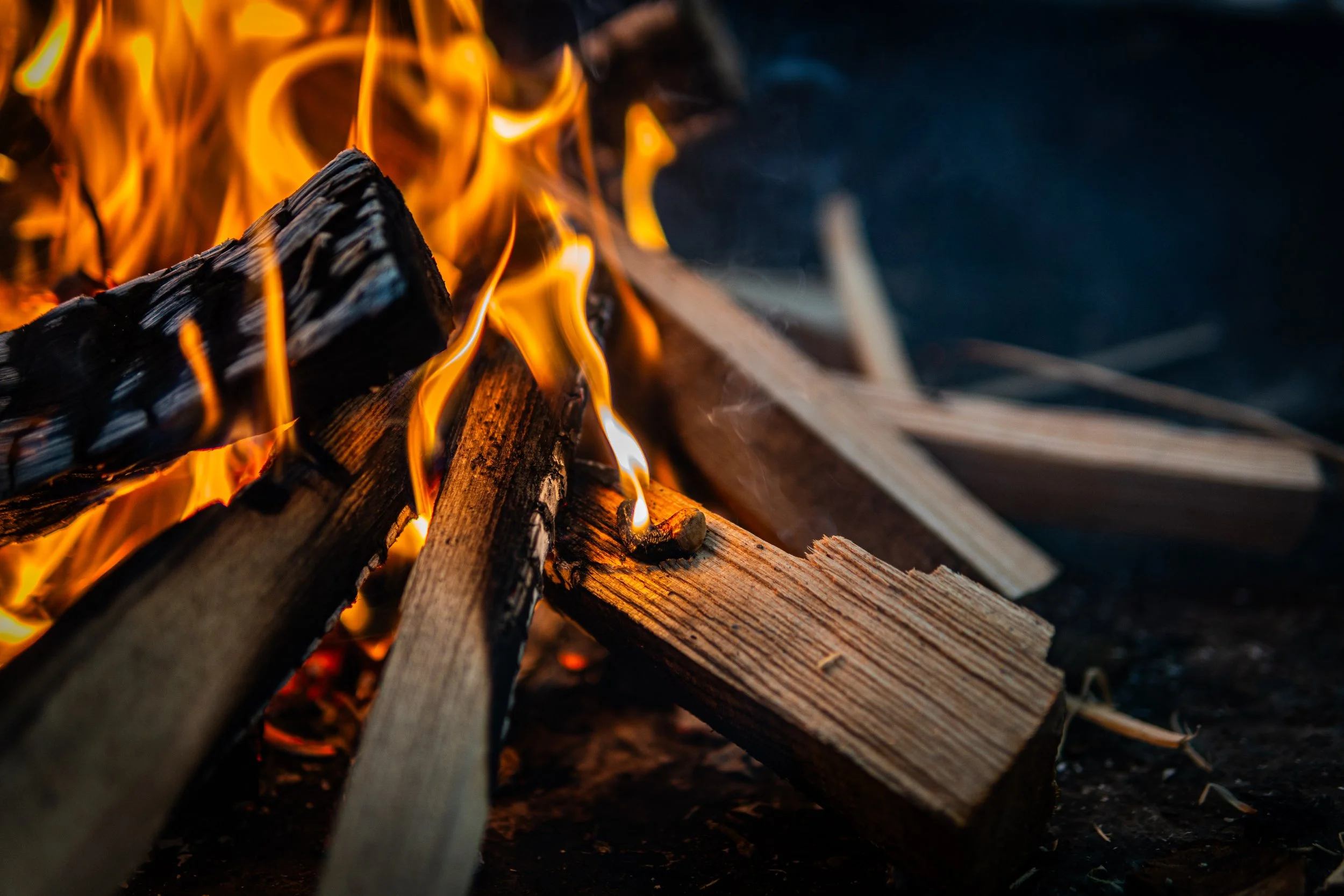 Dachsmeute-Januar-2026 (1 von 12).jpg