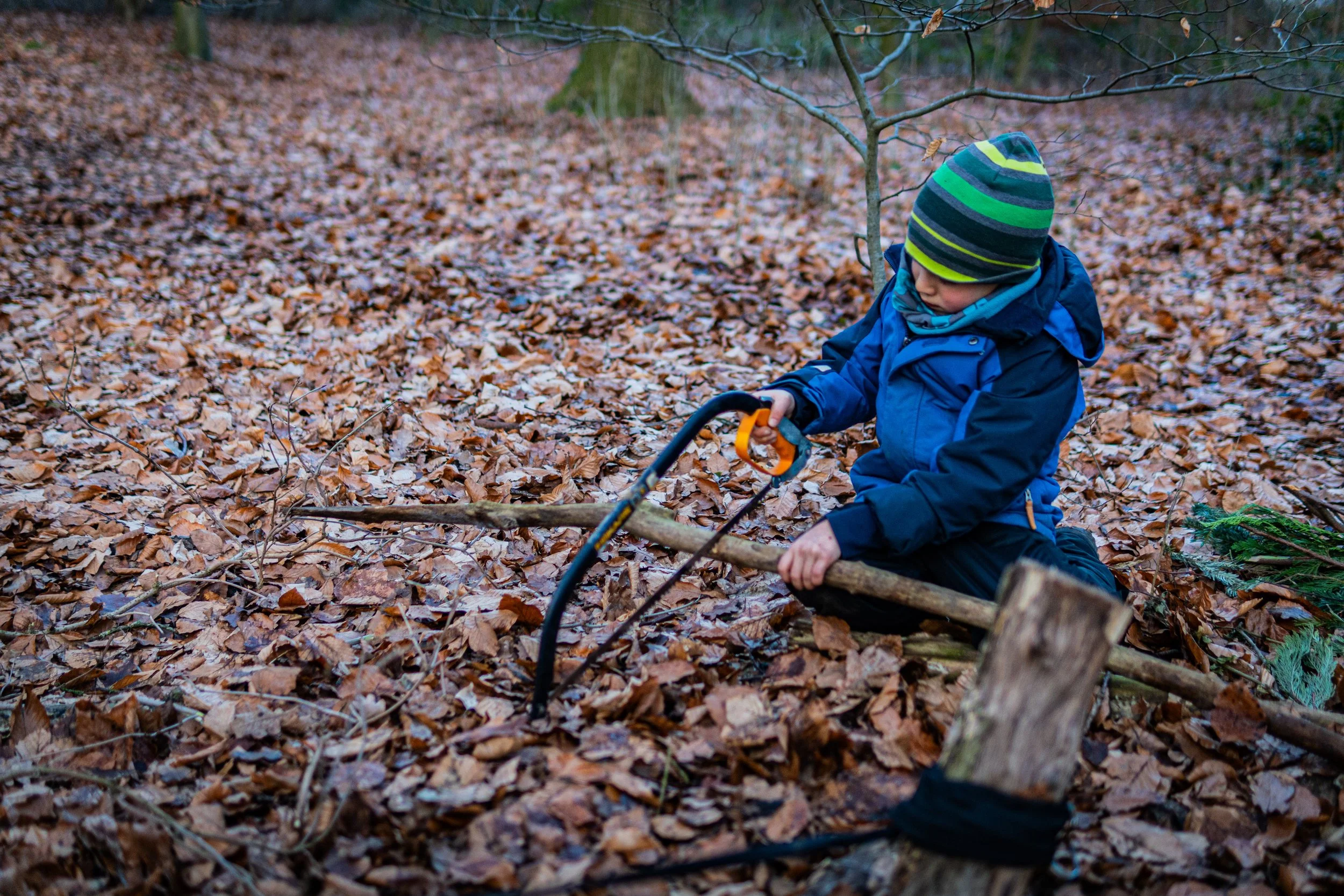 Dachsmeute-Januar-2026 (3 von 12).jpg