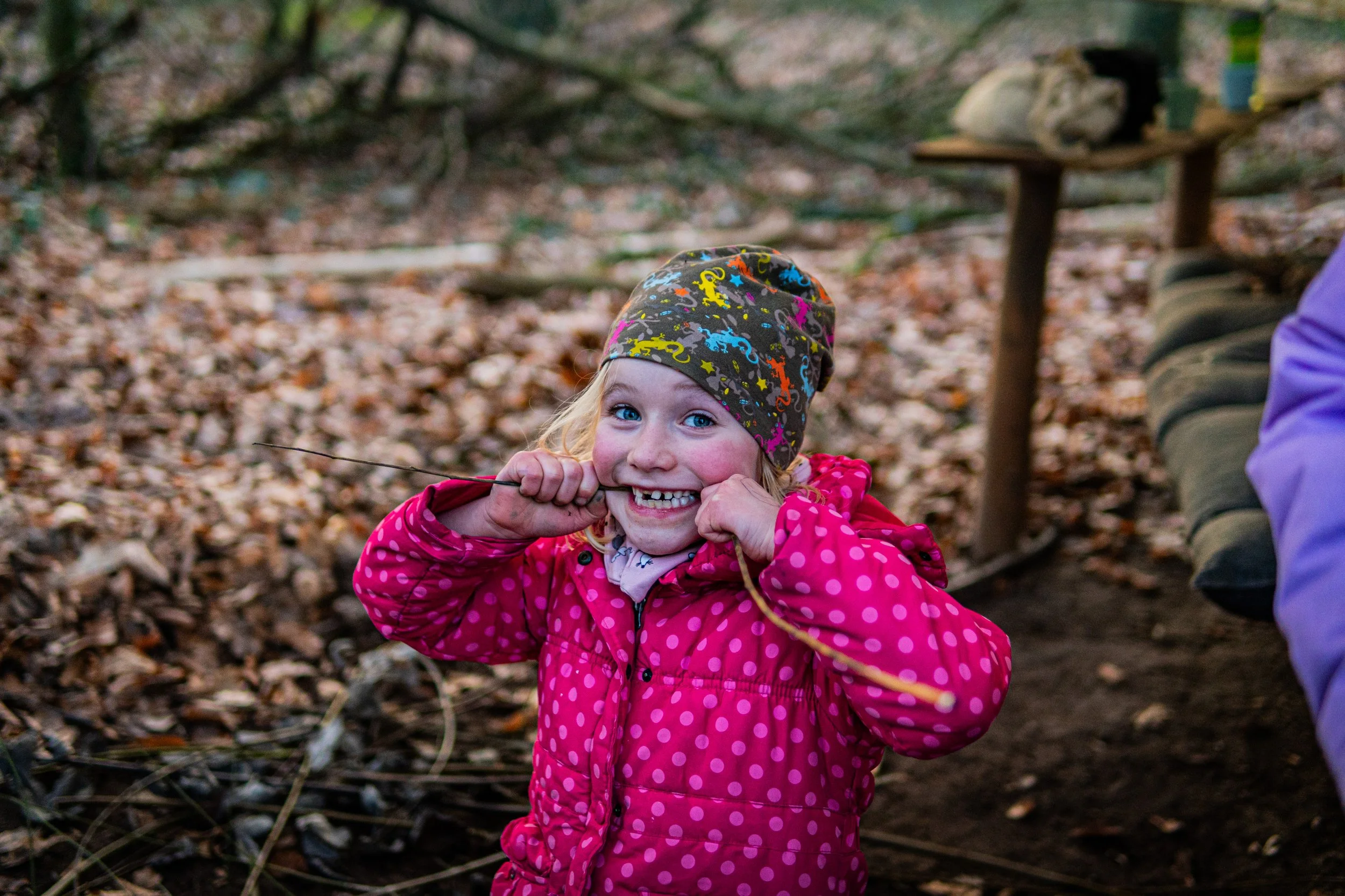 Dachsmeute-Januar-2026 (6 von 12).jpg