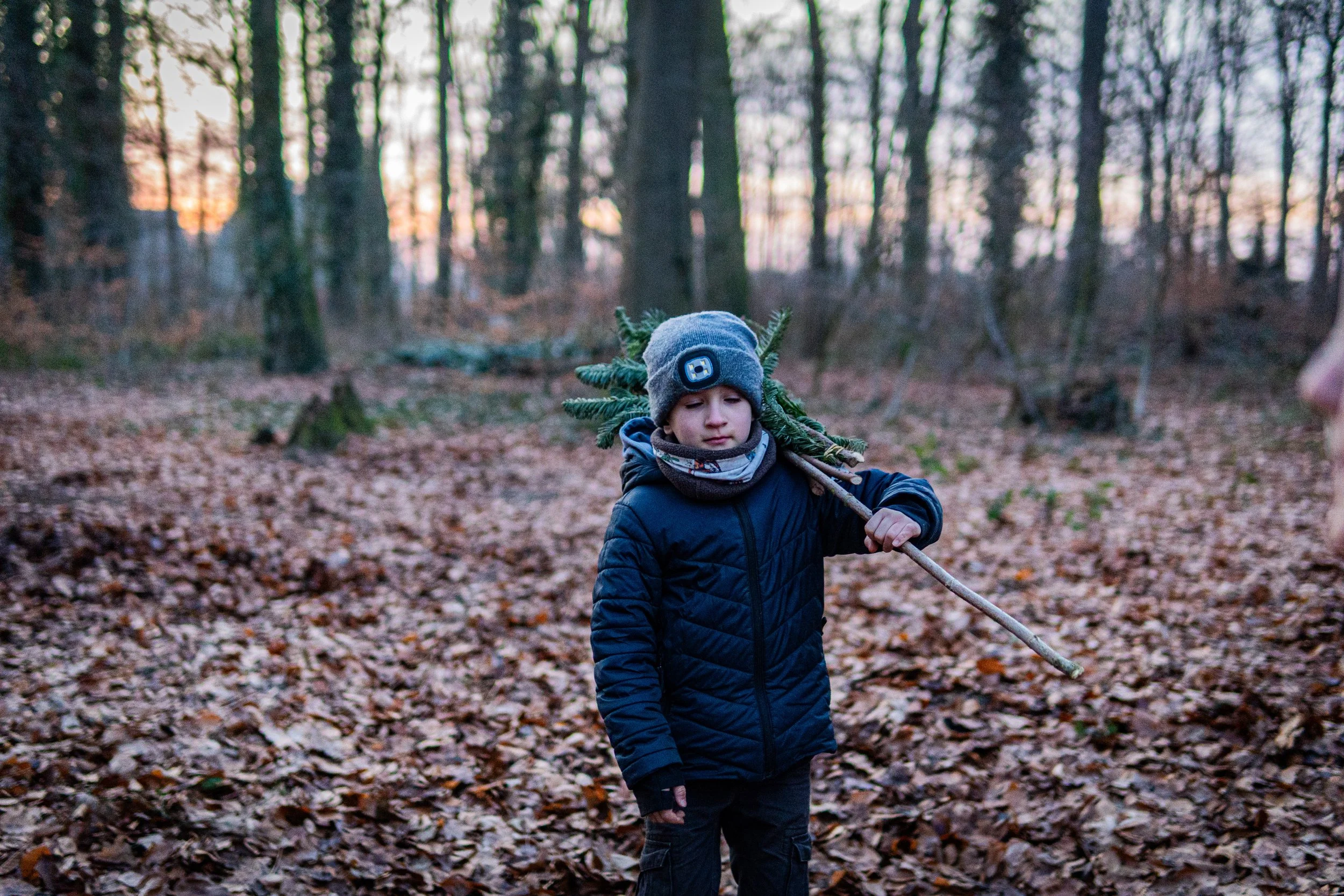 Dachsmeute-Januar-2026 (10 von 12).jpg