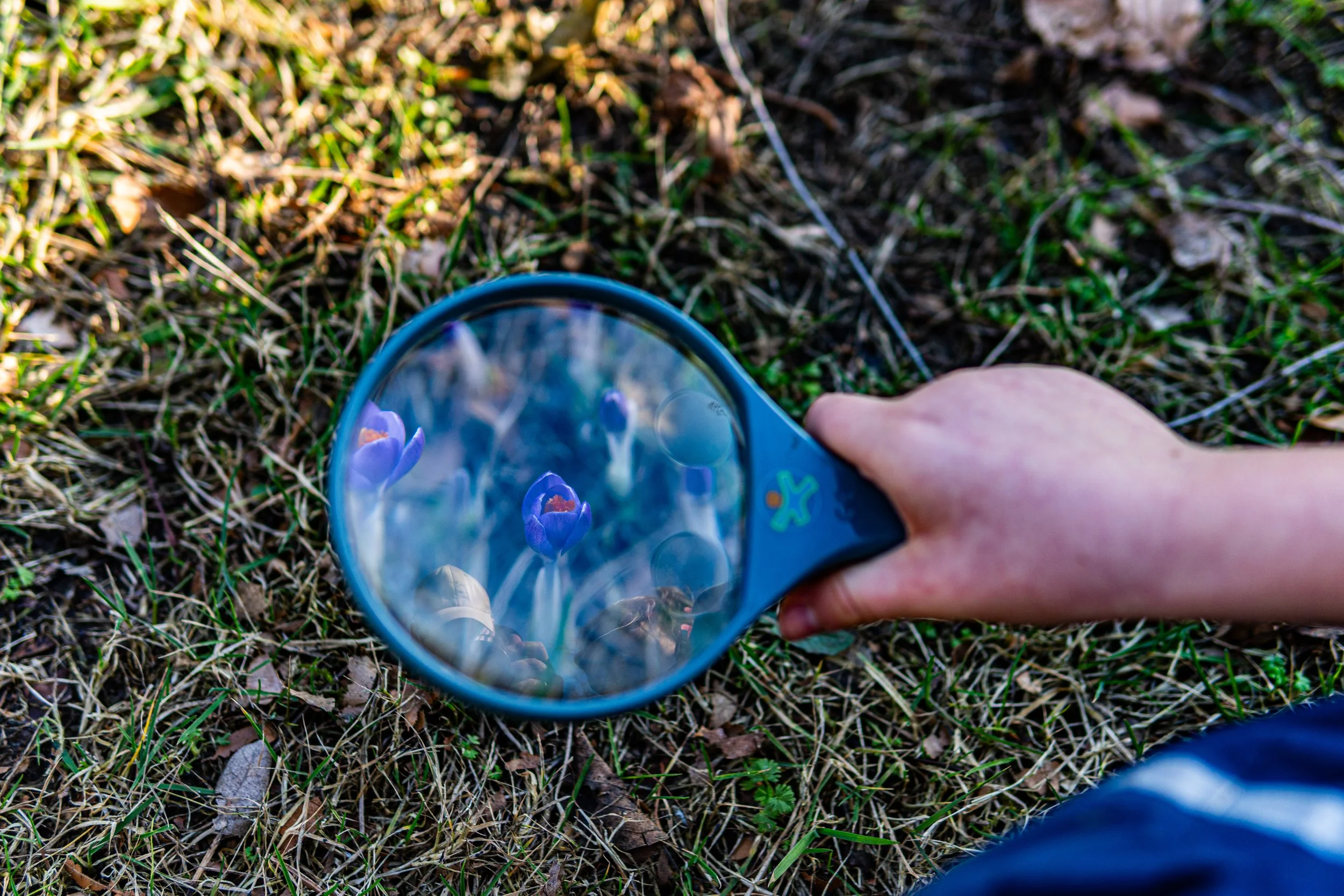 Dachsmeute - Februar 2026