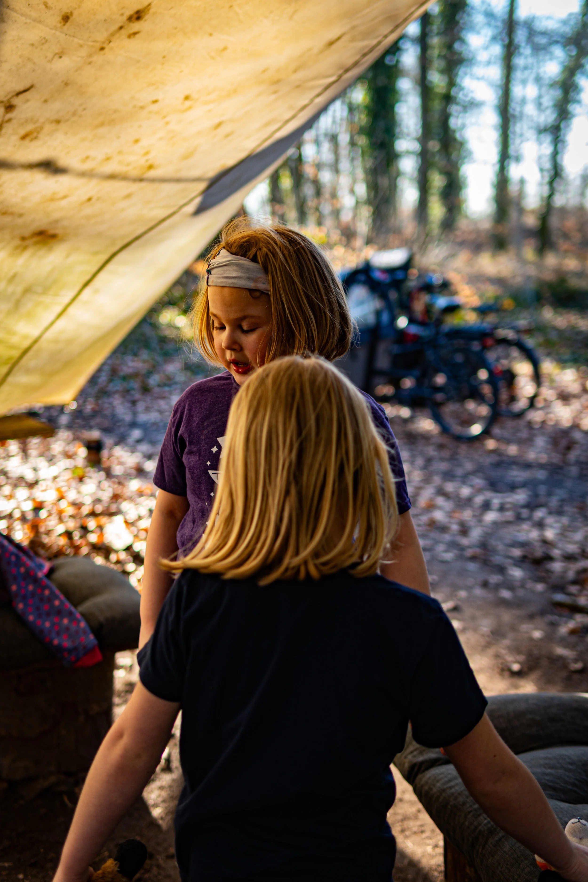 Dachsmeute-Februar-2026 (17 von 38).jpg