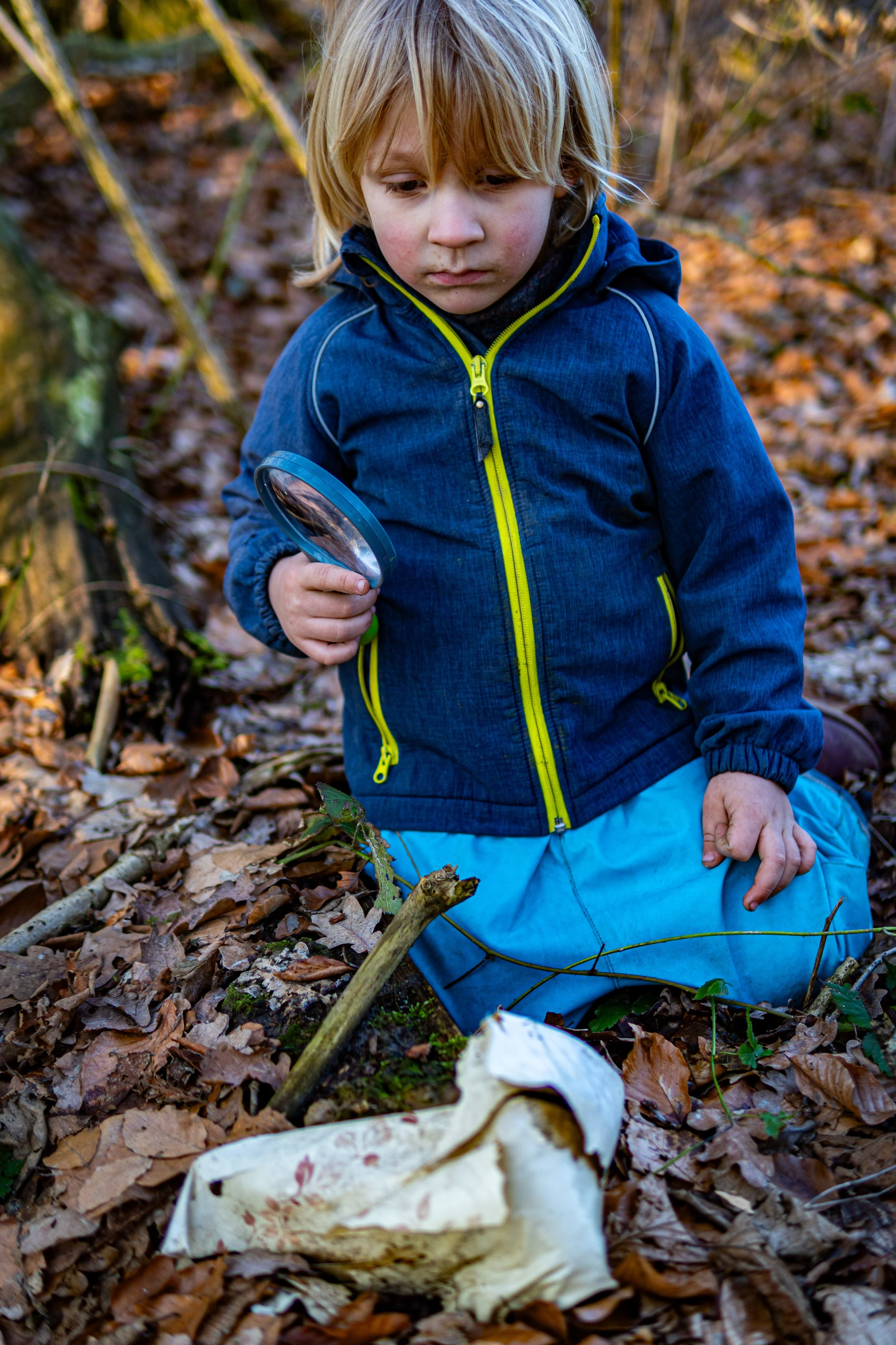 Dachsmeute-Februar-2026 (19 von 38).jpg