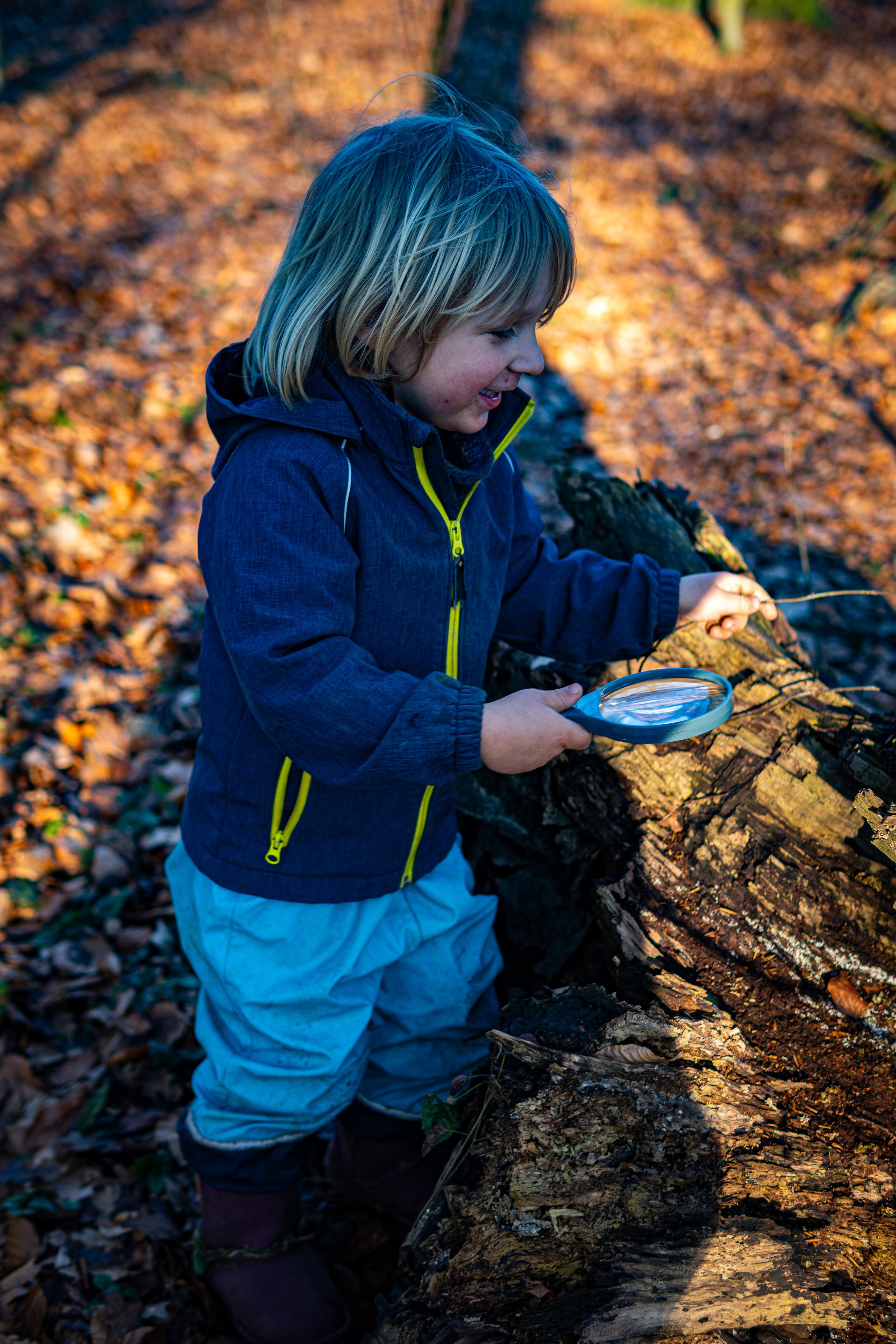 Dachsmeute-Februar-2026 (24 von 38).jpg