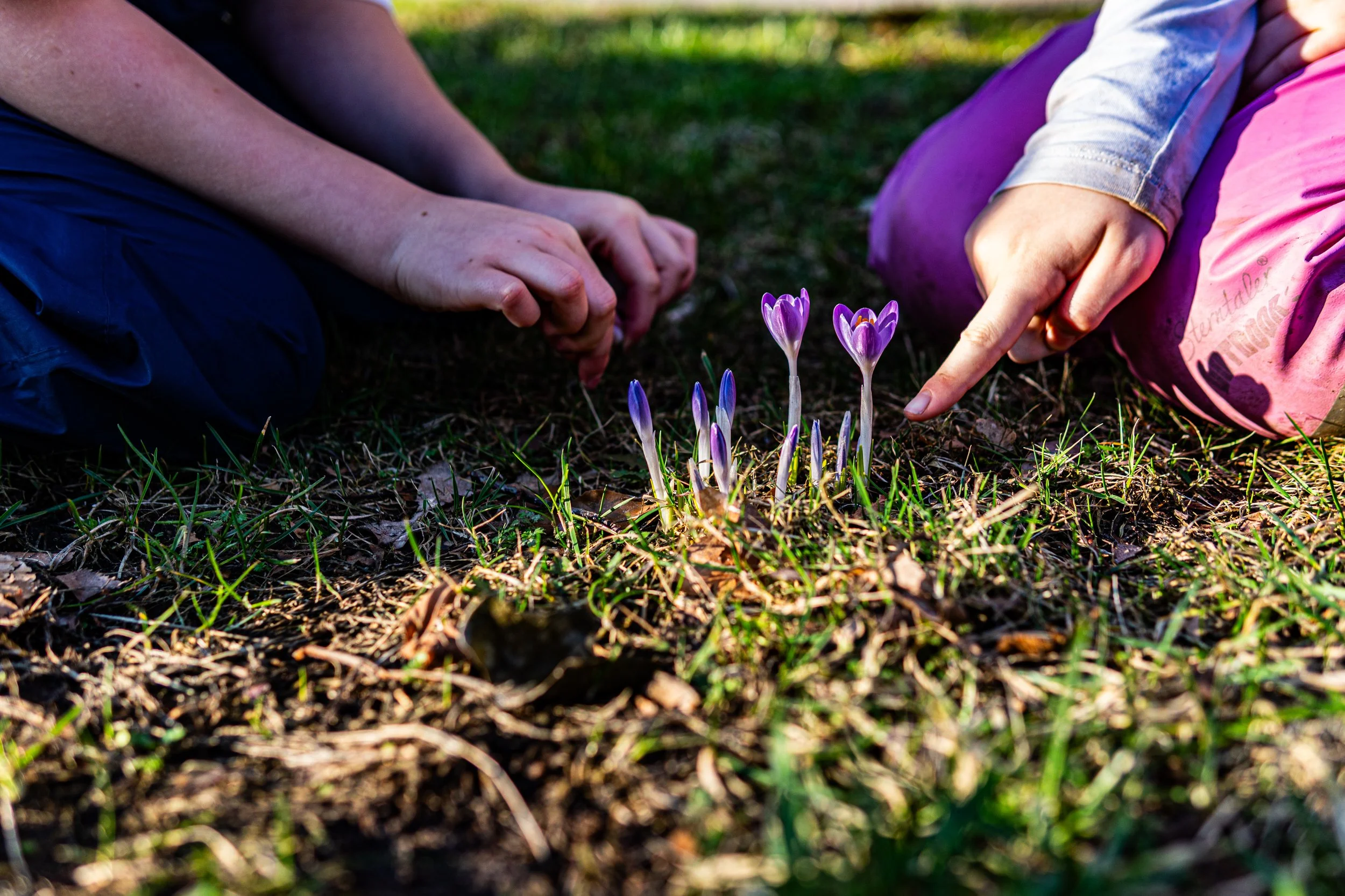 Dachsmeute-Februar-2026 (26 von 38).jpg
