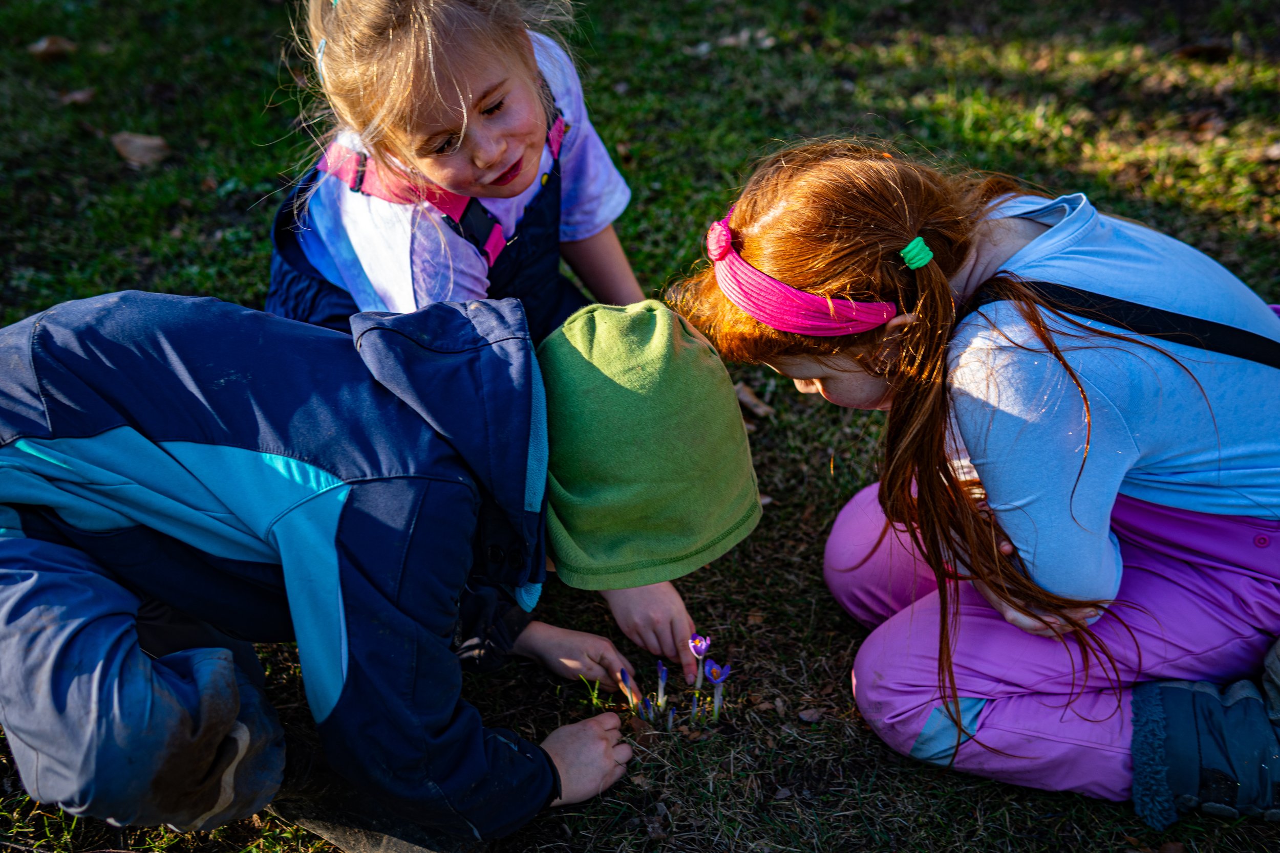 Dachsmeute-Februar-2026 (27 von 38).jpg