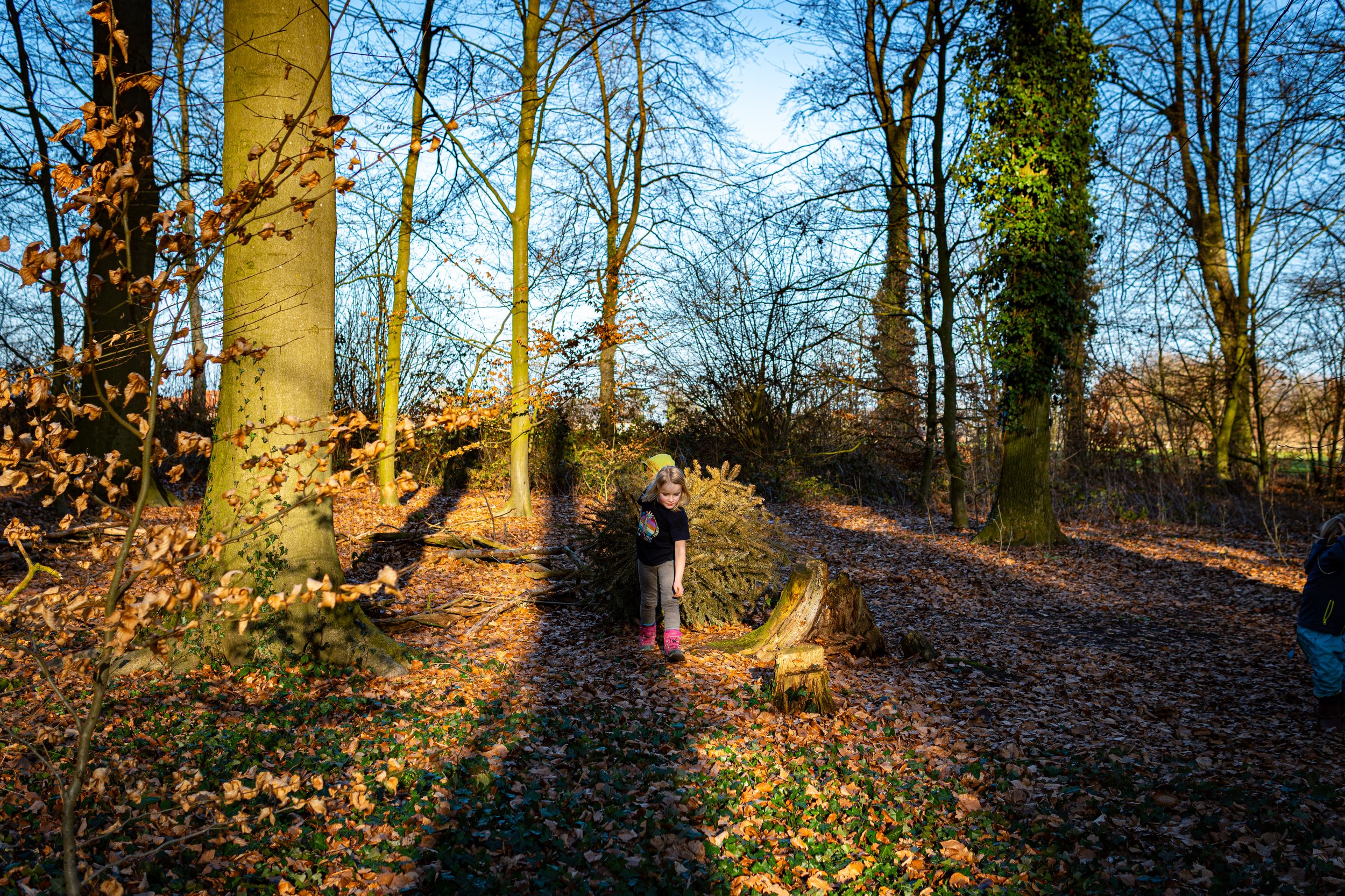 Dachsmeute-Februar-2026 (29 von 38).jpg