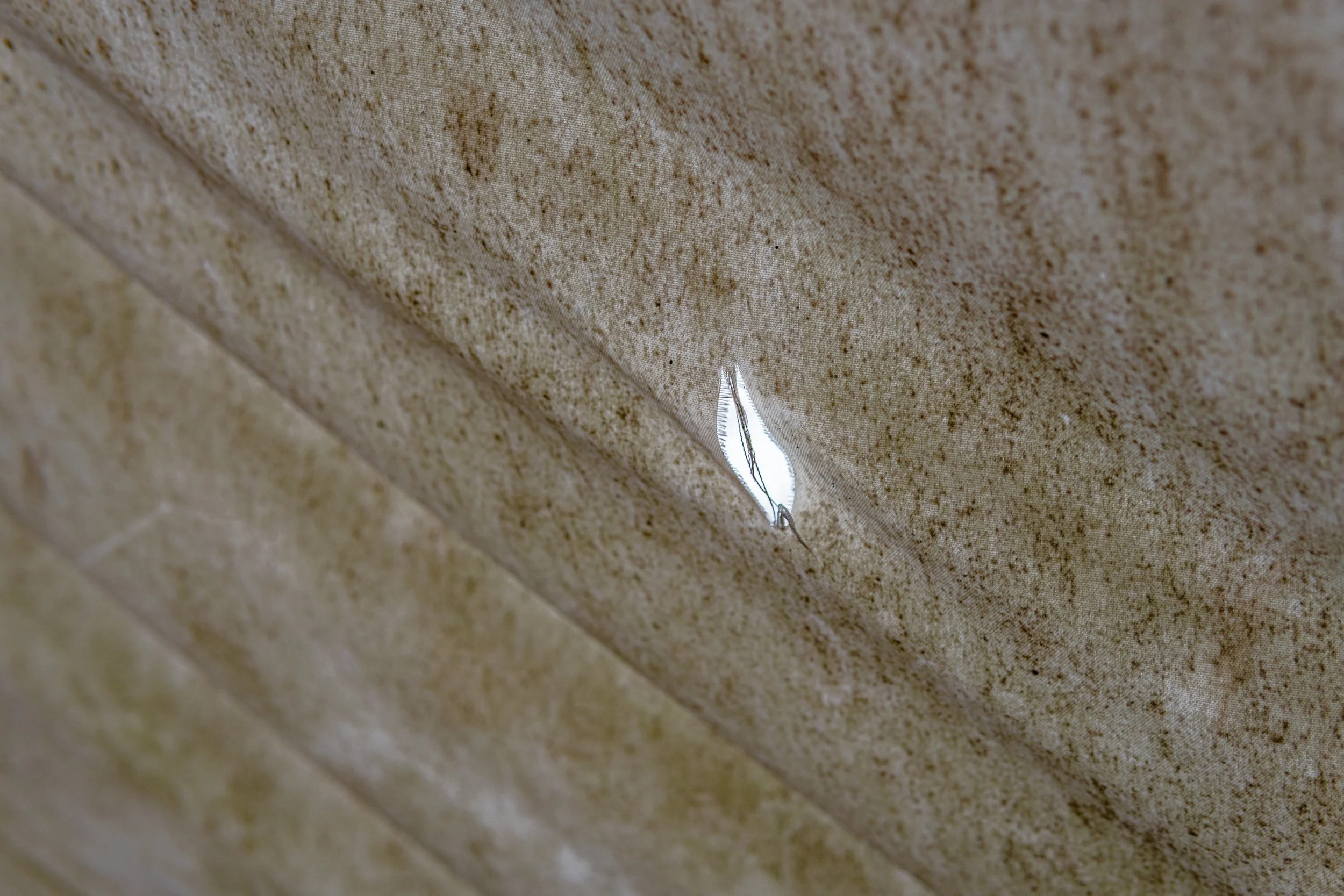 Funkenmeute-März (4 von 14).jpg