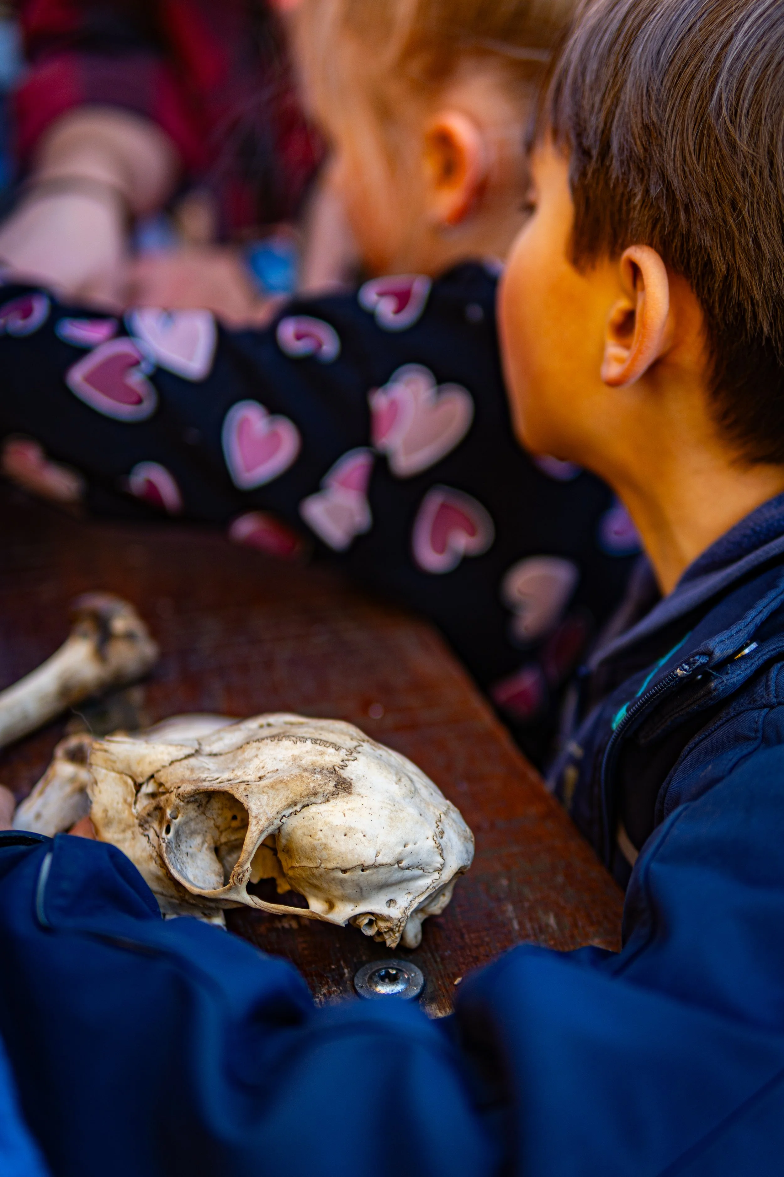 Dachsmeute-März (2 von 30).jpg