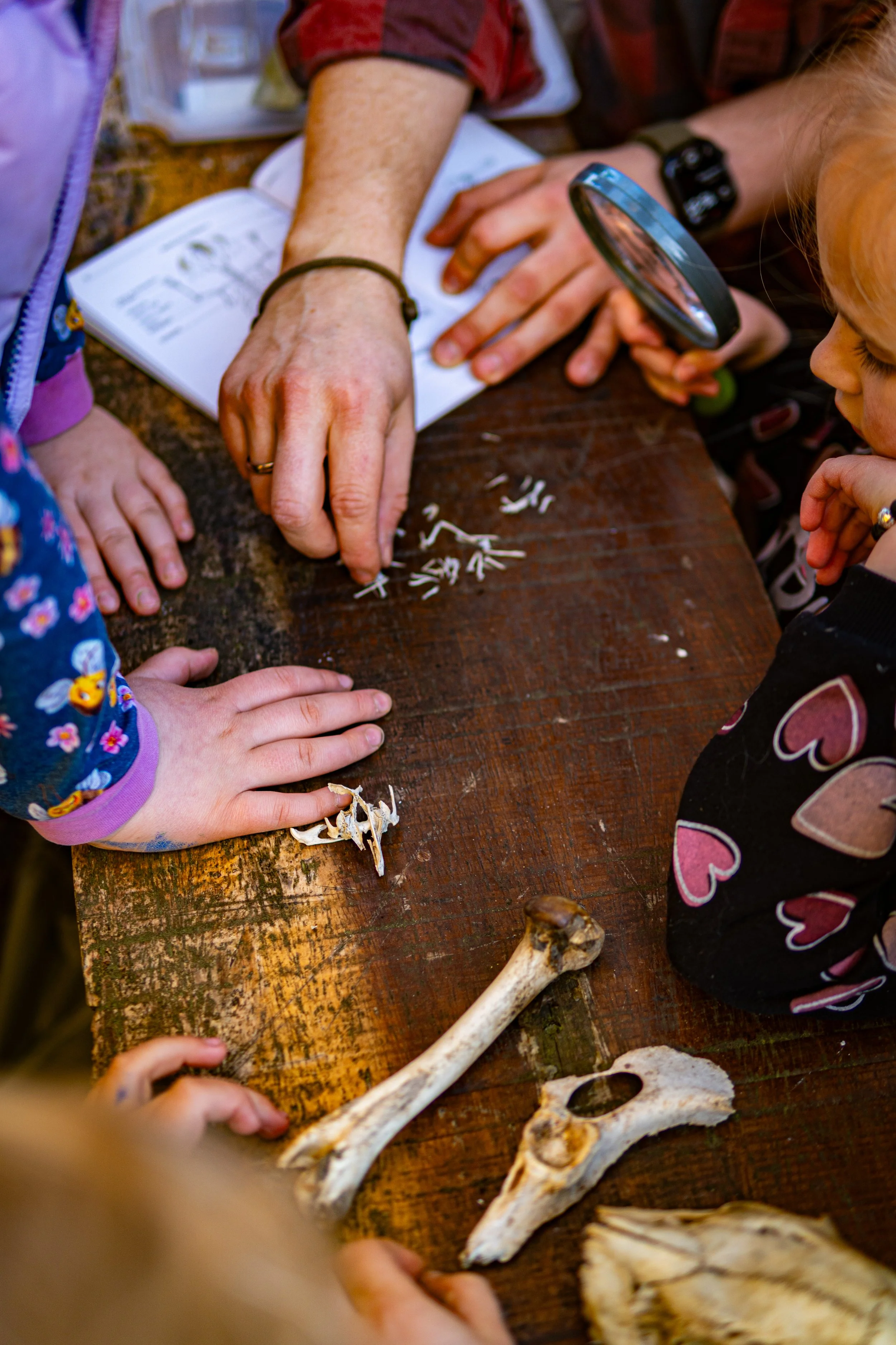 Dachsmeute-März (3 von 30).jpg