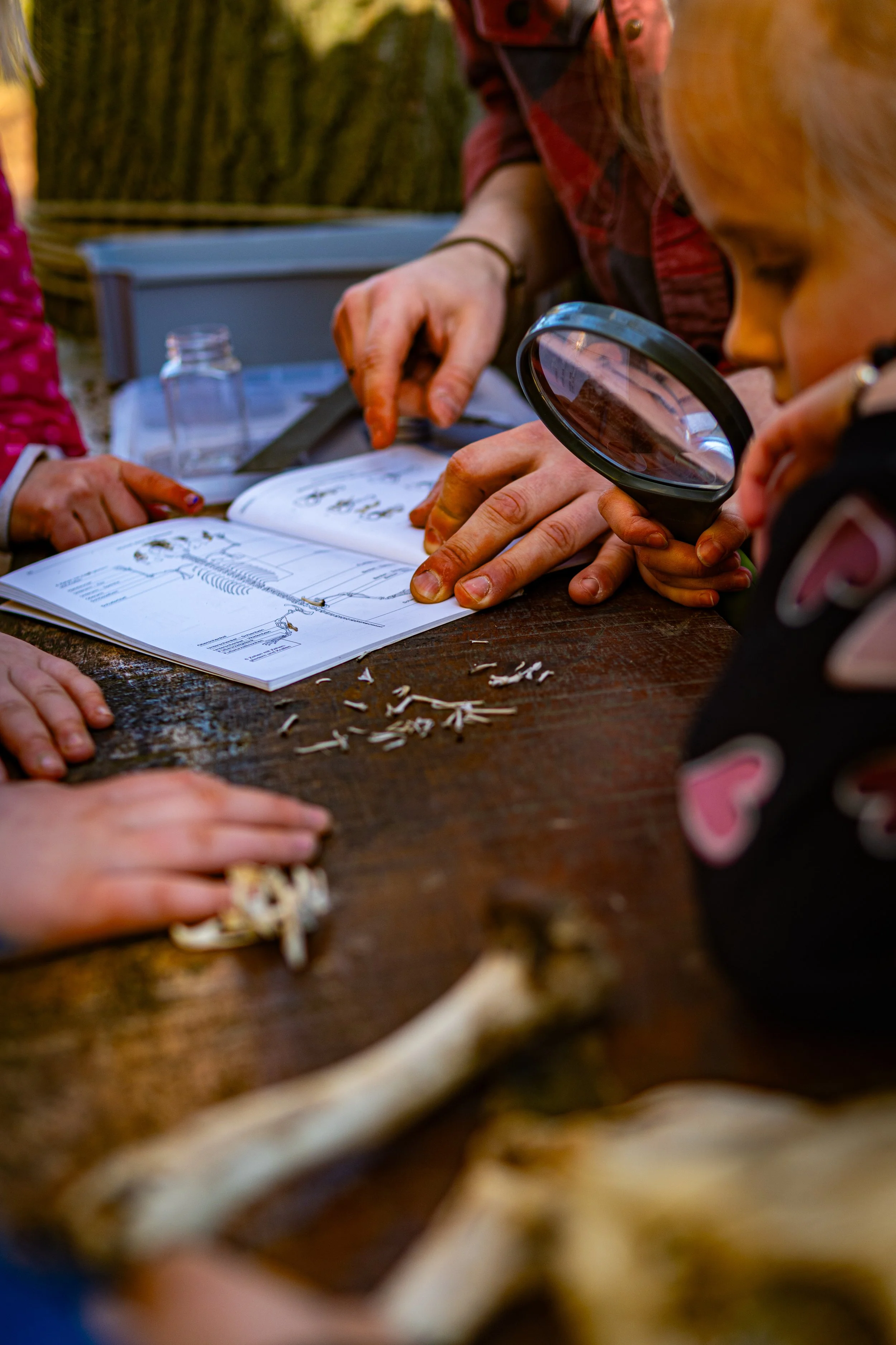 Dachsmeute-März (4 von 30).jpg