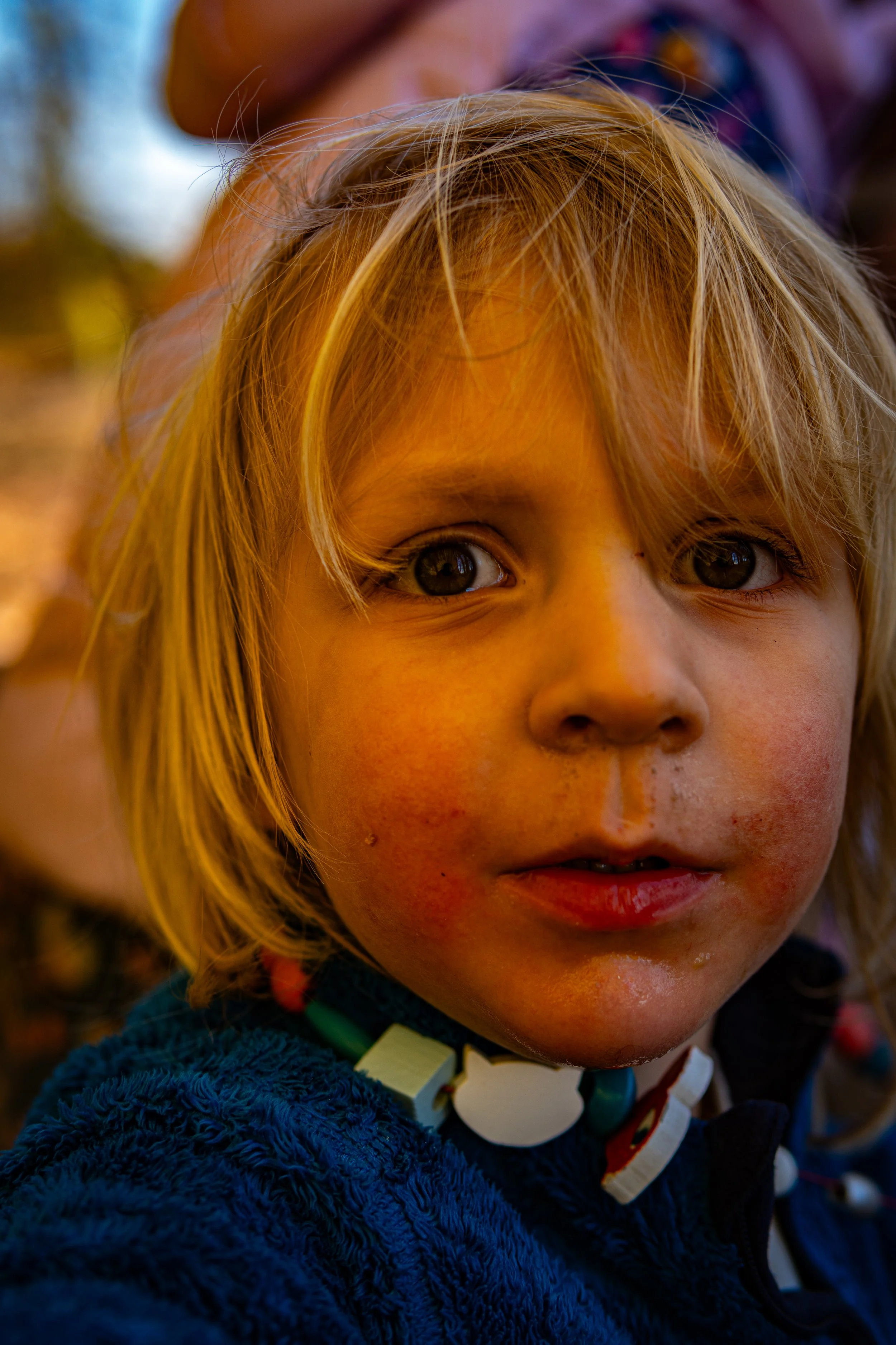 Dachsmeute-März (7 von 30).jpg