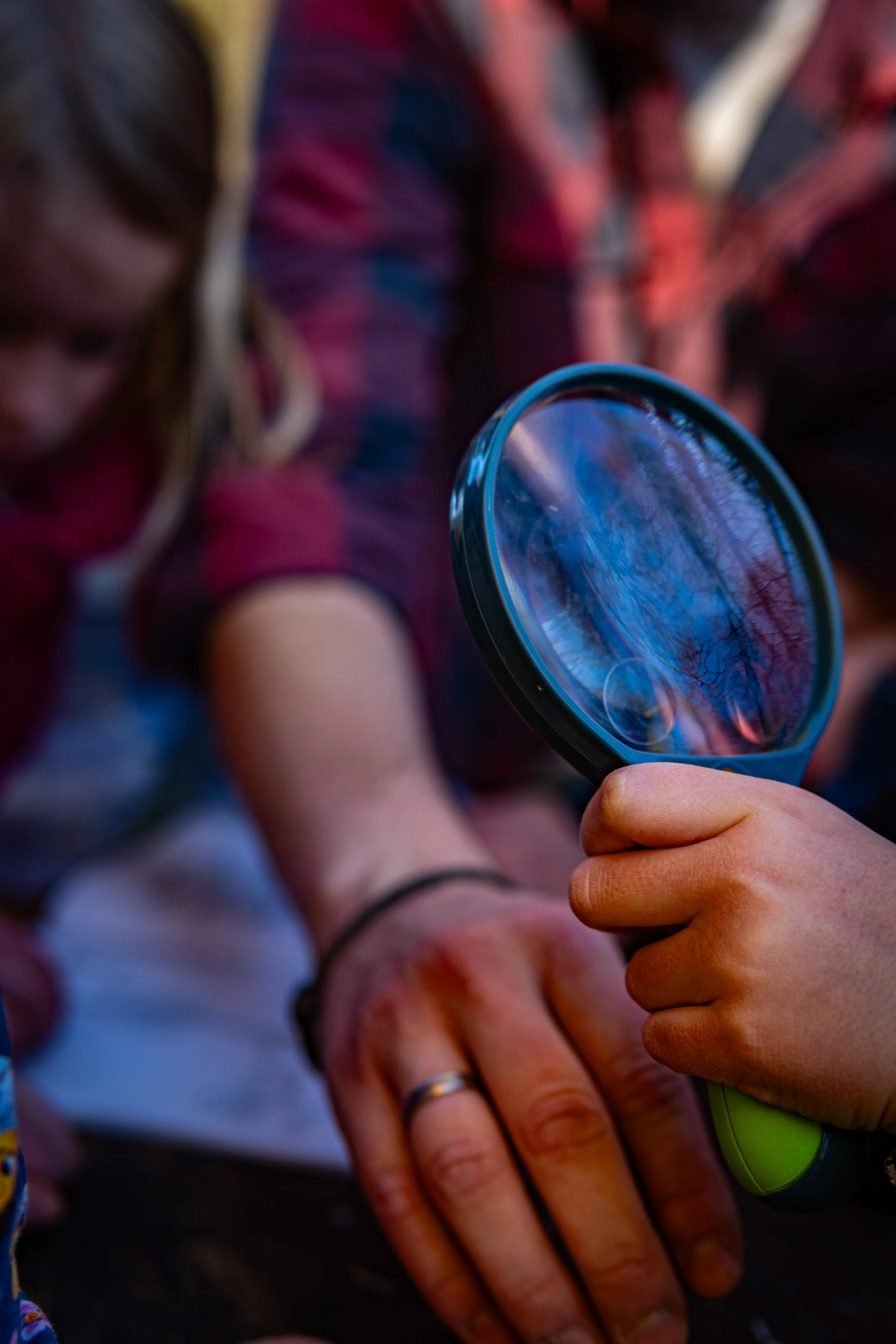 Dachsmeute-März (8 von 30).jpg