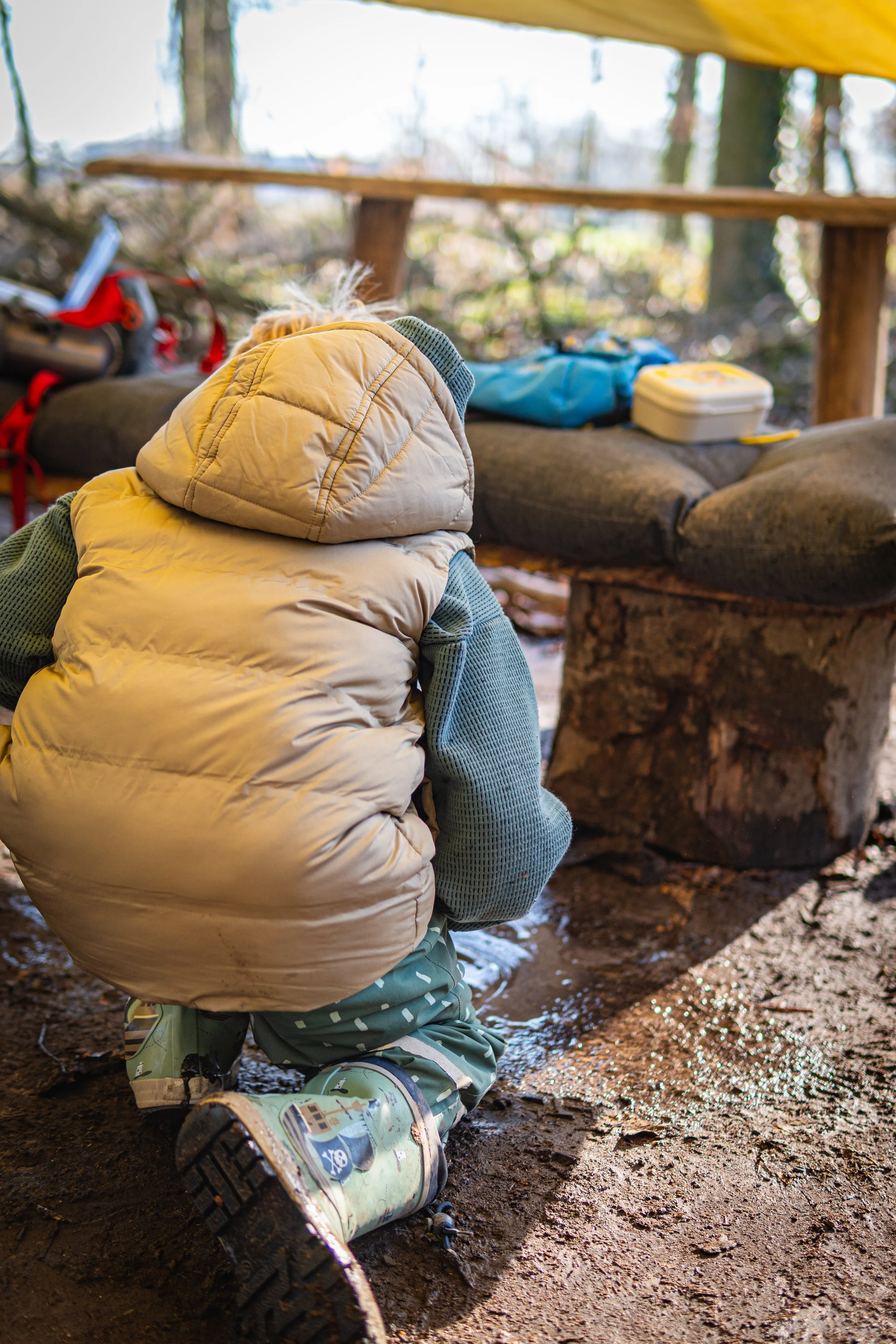 Dachsmeute-März (15 von 30).jpg