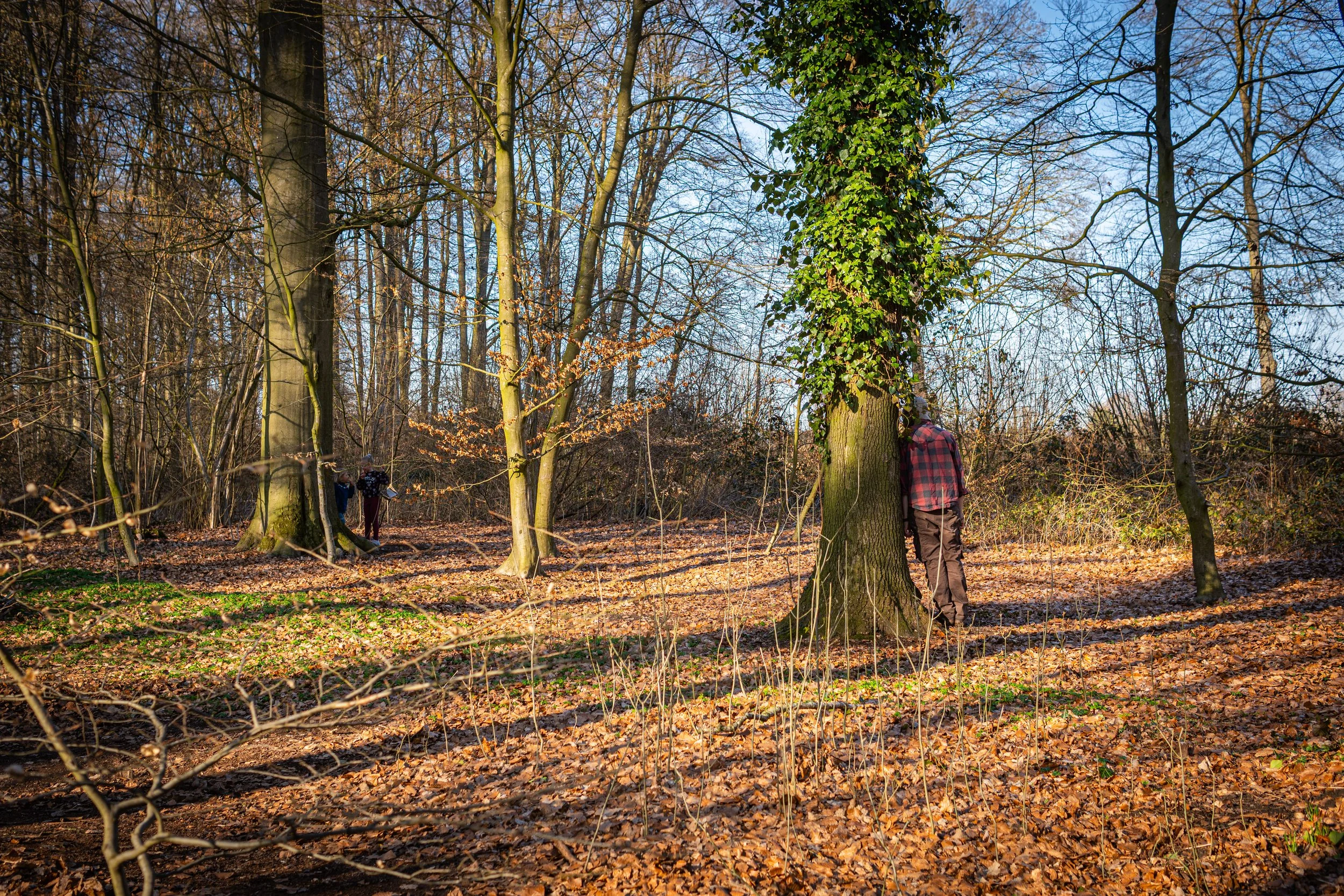 Dachsmeute-März (16 von 30).jpg