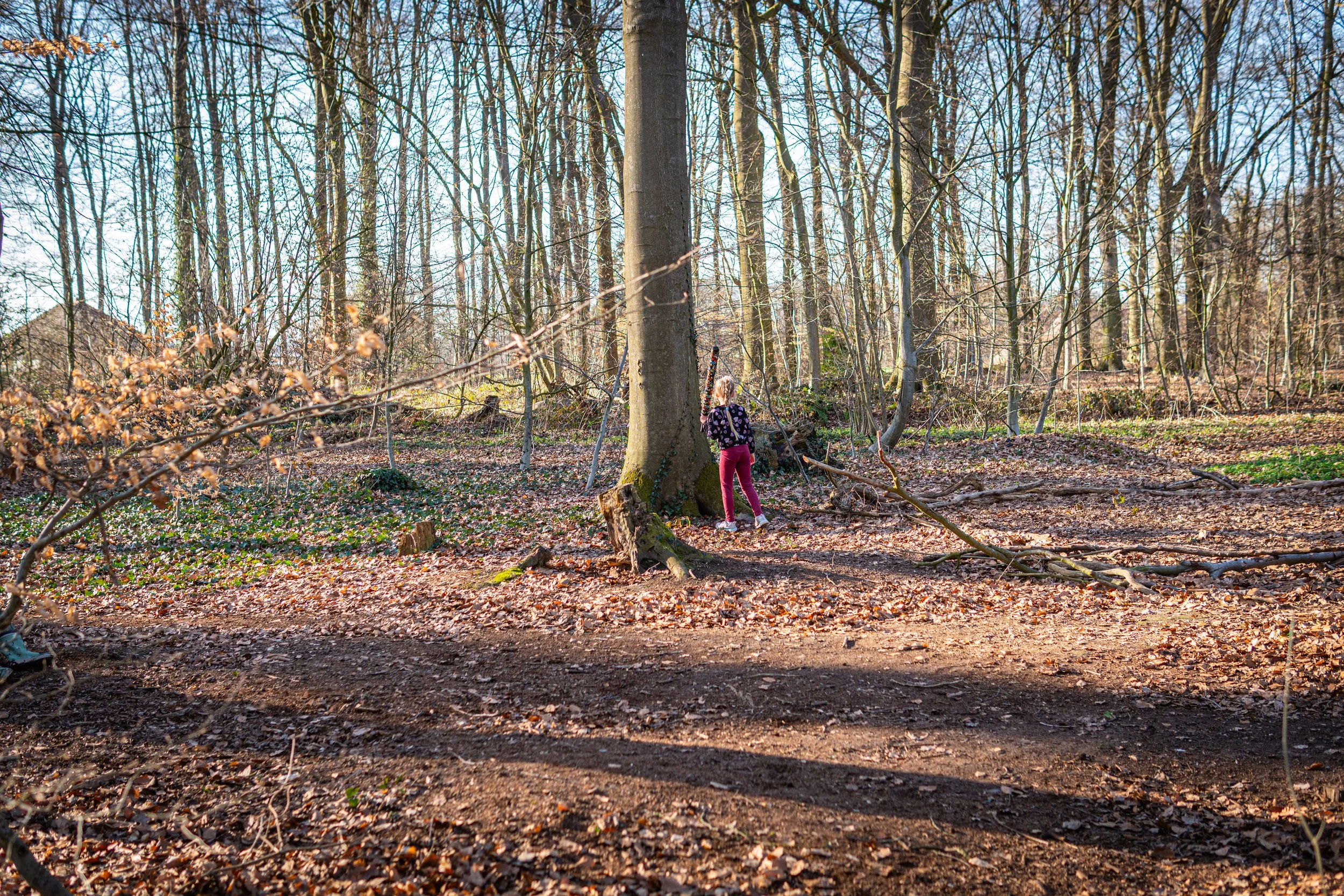 Dachsmeute-März (19 von 30).jpg