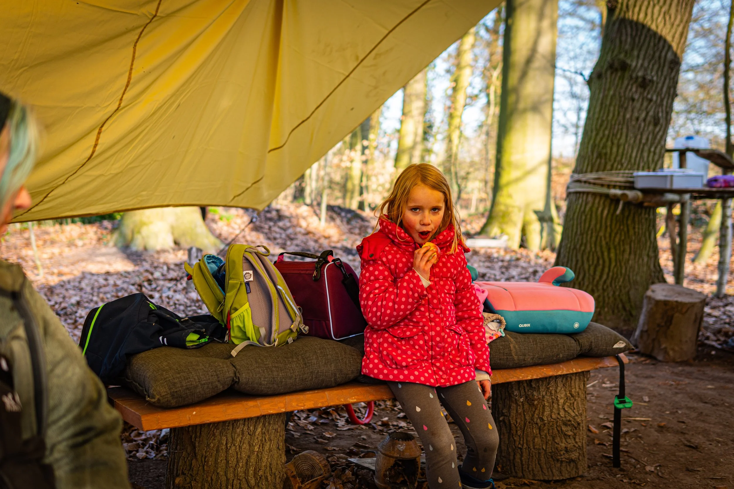 Dachsmeute-März (26 von 30).jpg