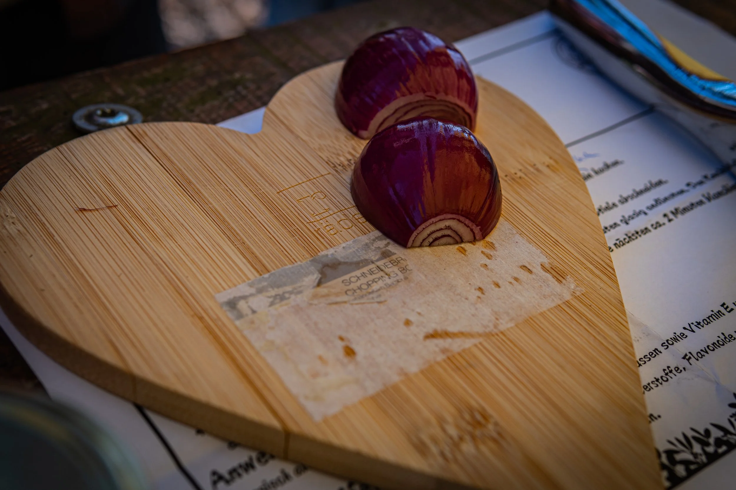 Dachsmeute - April  (4 von 14).jpg