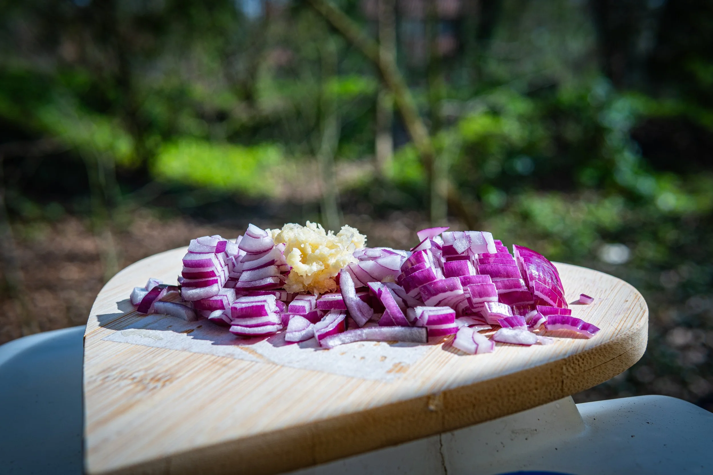 Dachsmeute - April  (9 von 14).jpg