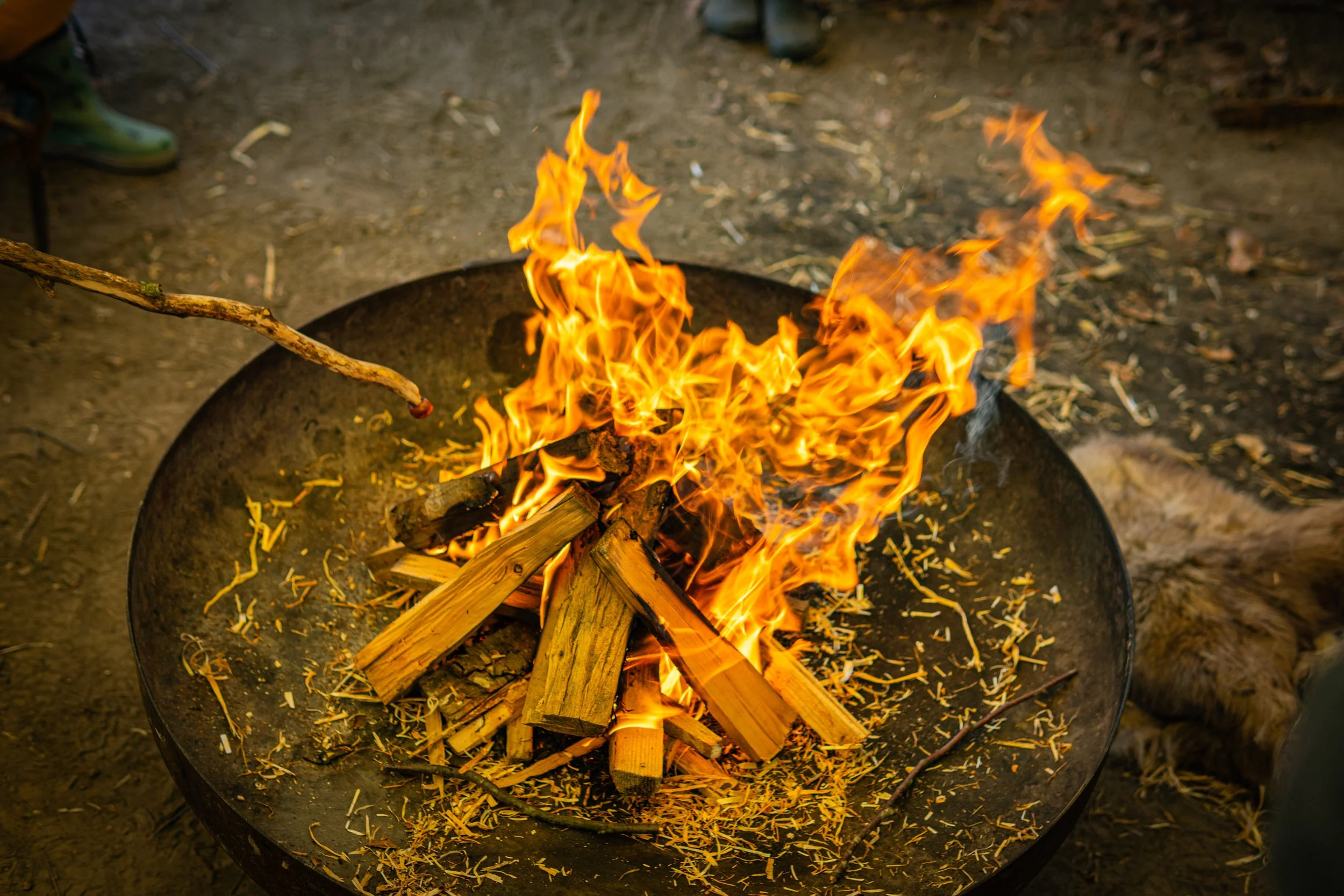 Dachsmeute - April  (10 von 14).jpg