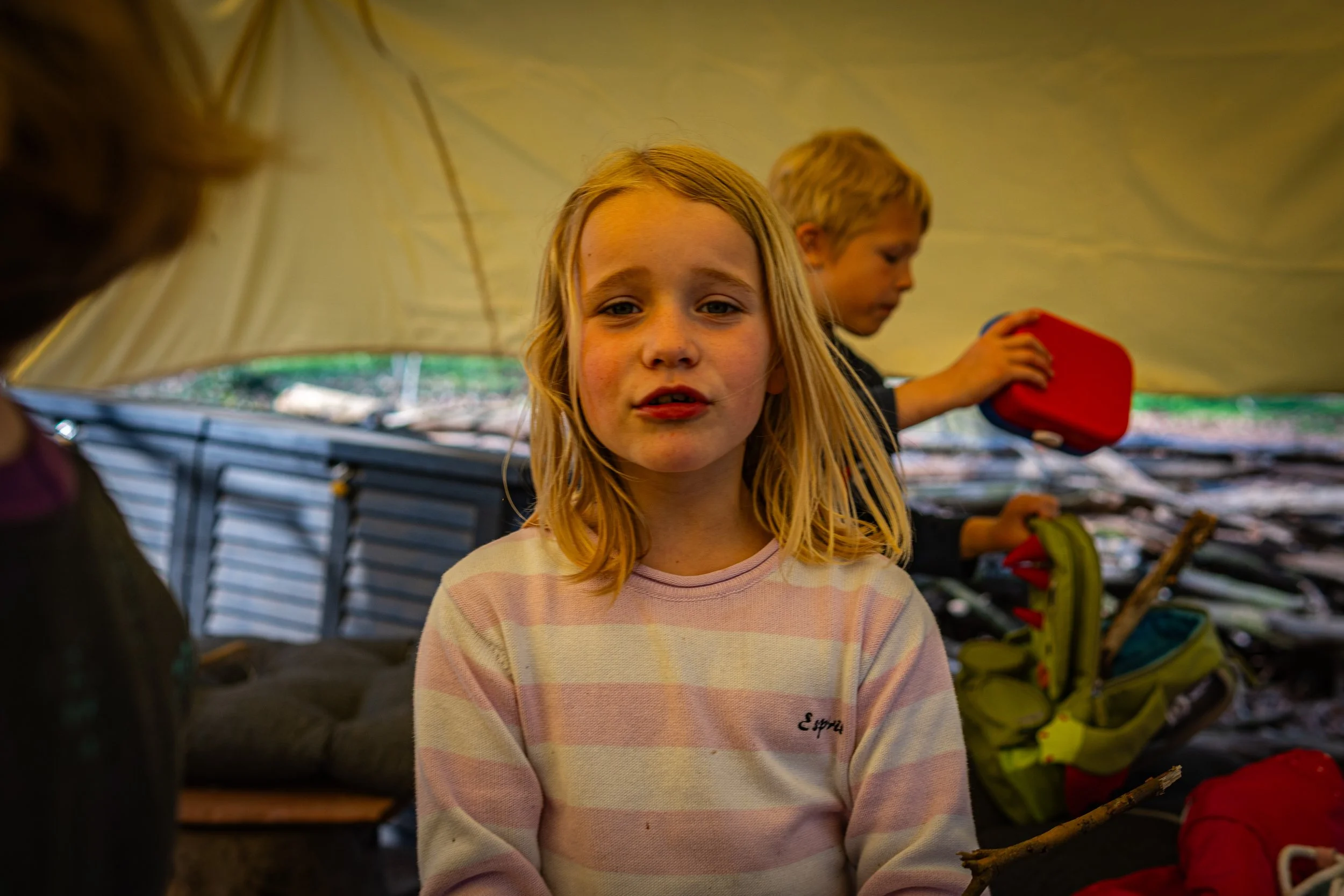 Dachsmeute - April  (12 von 14).jpg